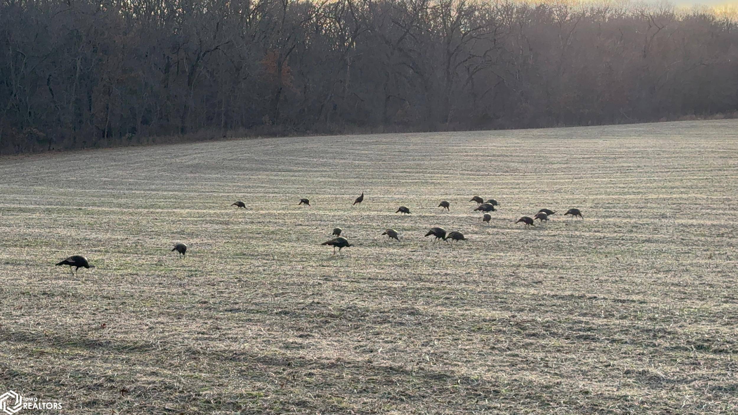 Grand River, IA 50108,205th 125th Avenue