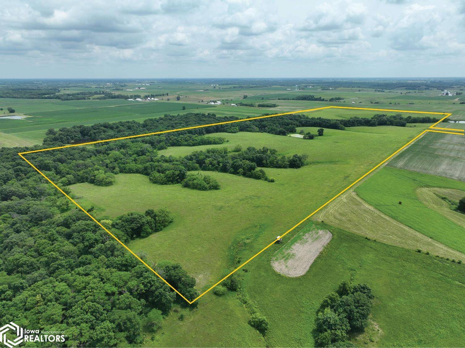 Fairfield, IA 52556,Olive