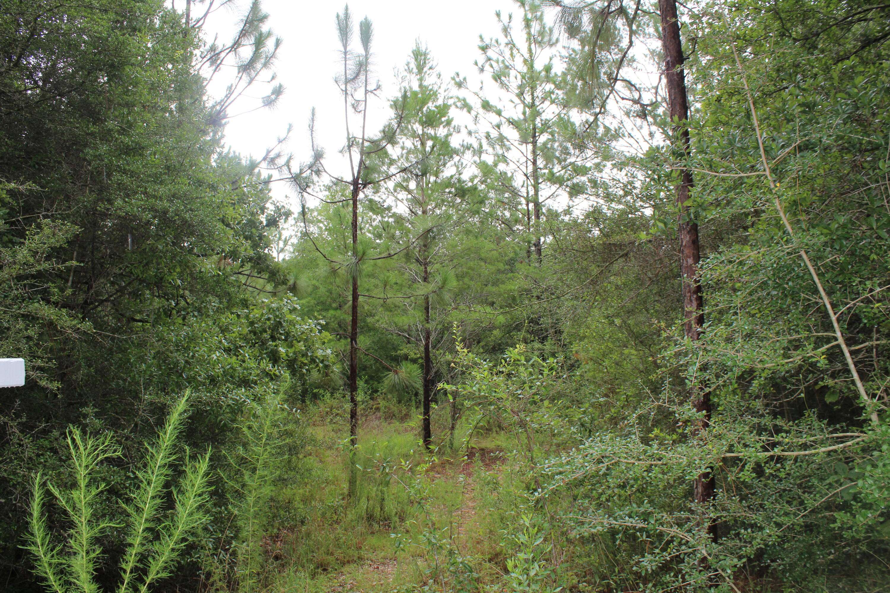 Crestview, FL 32536,2610 Sorrel Ridge Road