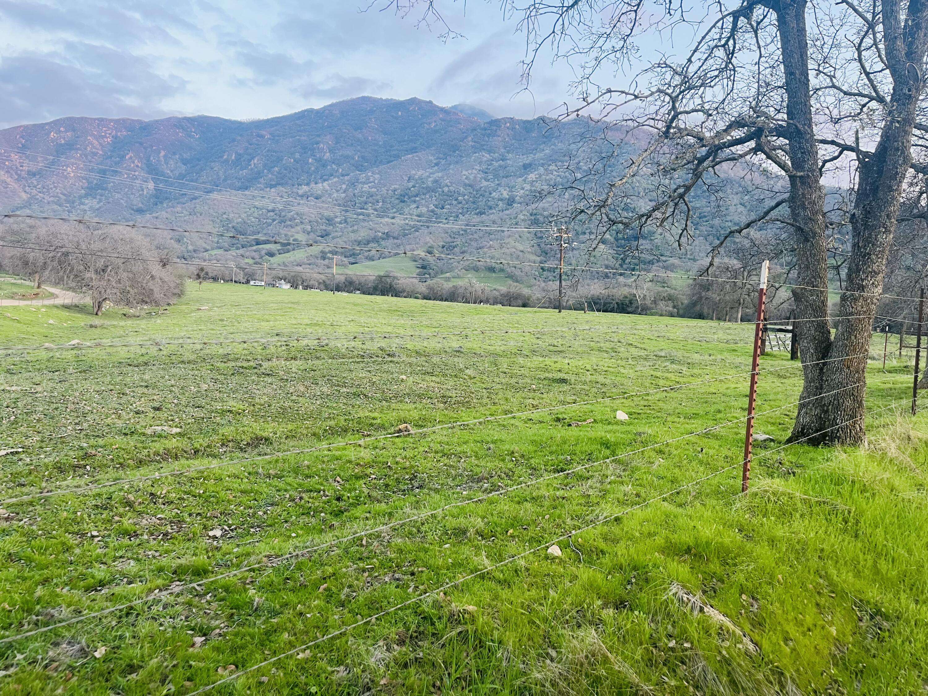 Springville, CA 93265,Cow Mountain Rd Road