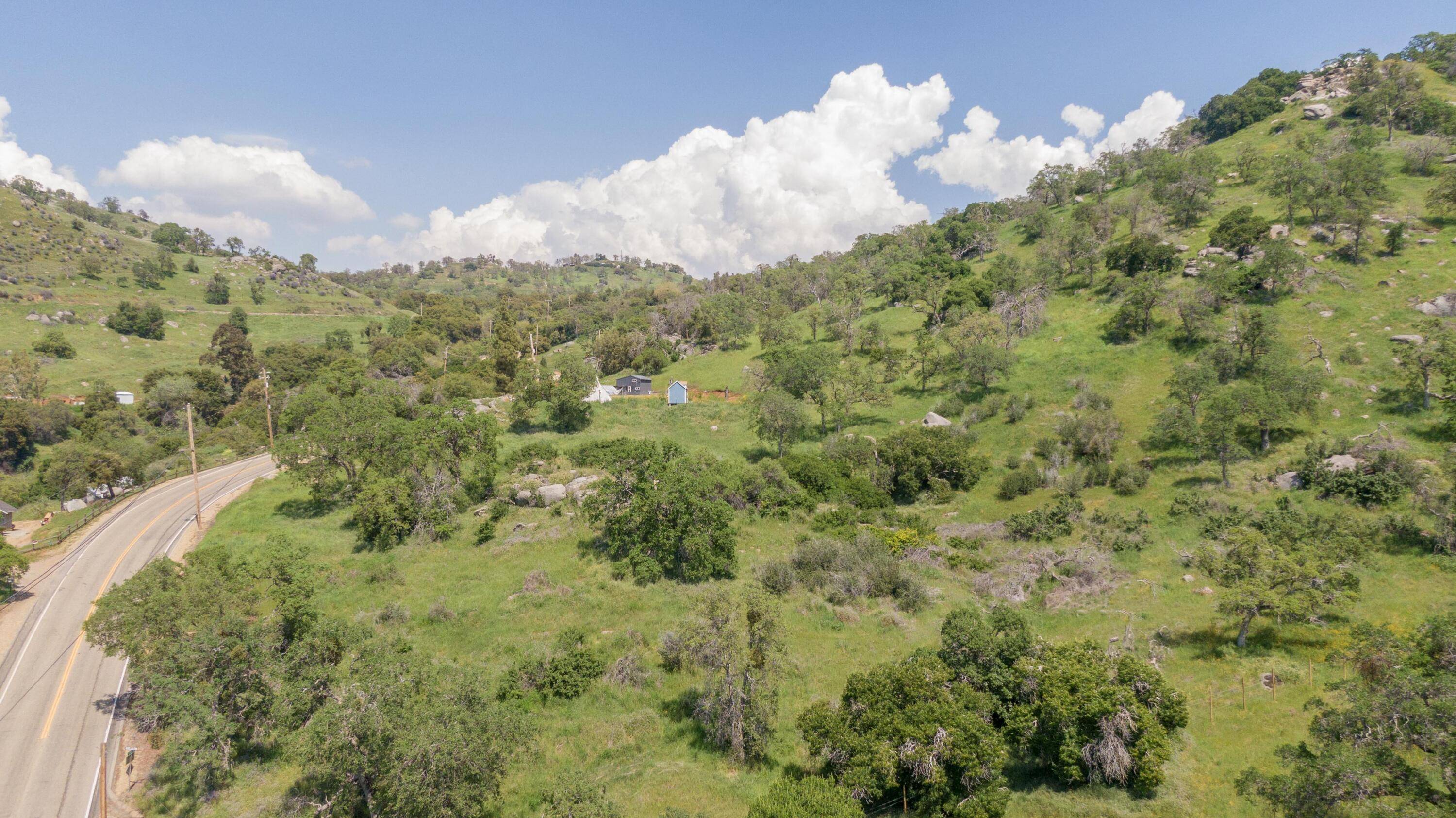 Squaw Valley, CA 93675,0 Pepperweed