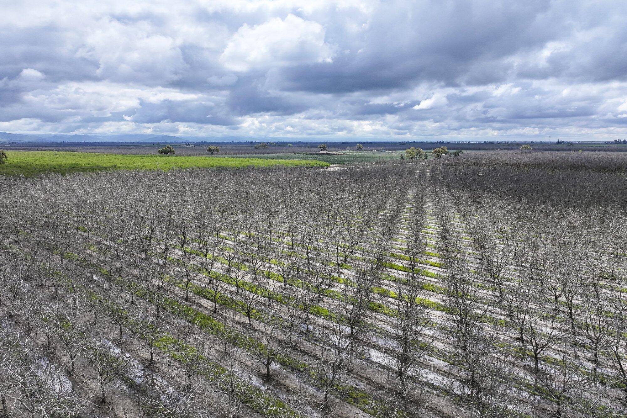 Strathmore, CA 93267,Road 180