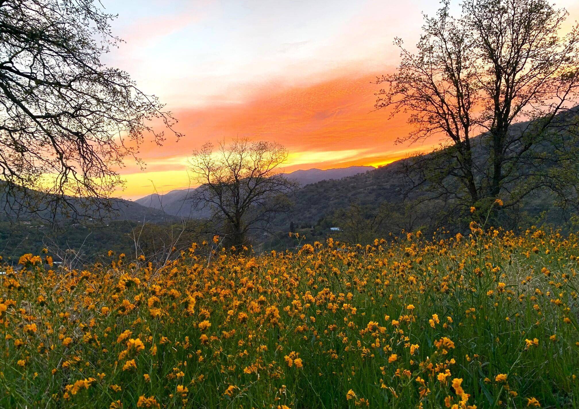 Three Rivers, CA 93271,Sierra King Drive