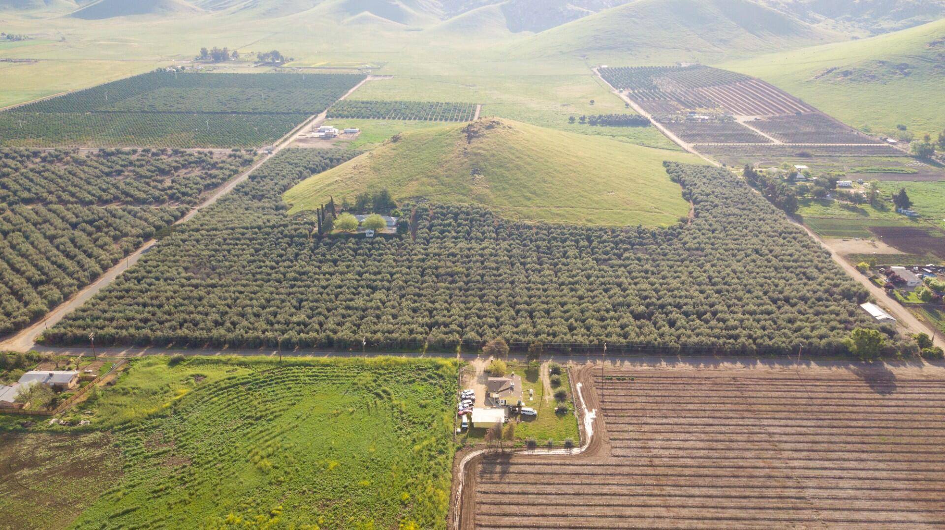 Lindsay, CA 93247,Avenue 234