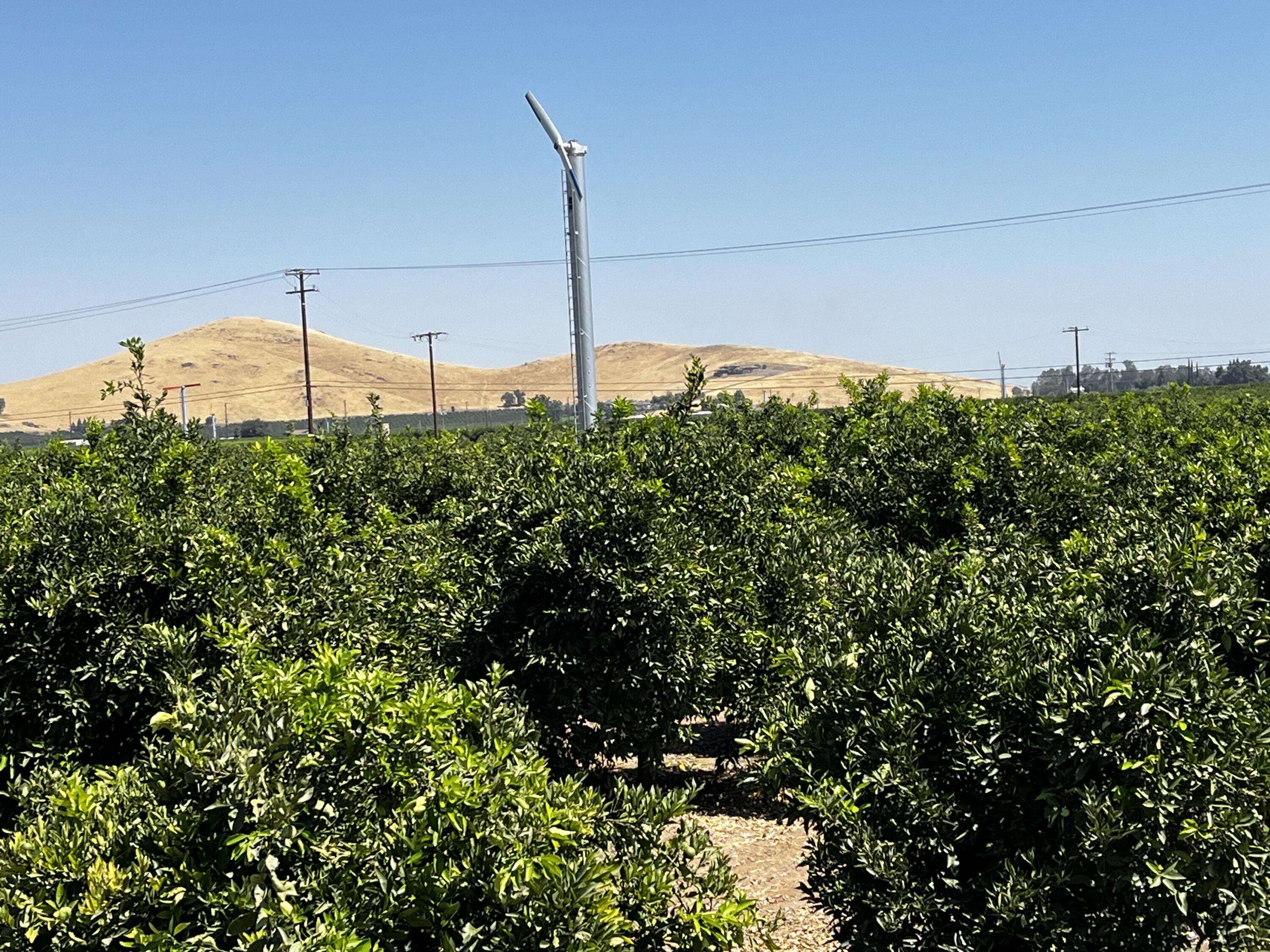 Ivanhoe, CA 93235,Hwy 216