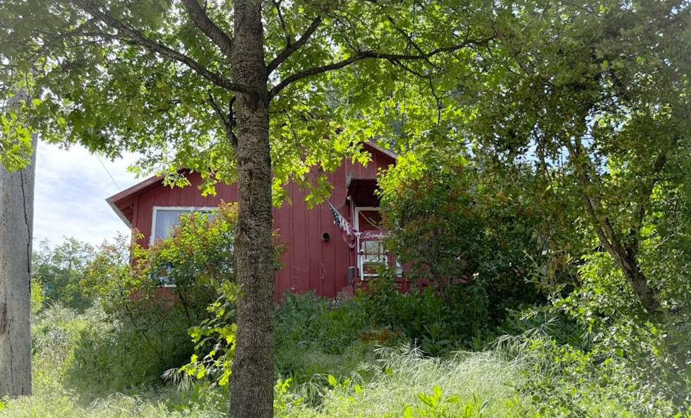 California Hot Springs, CA 93207,379 Cedar Brook Trail