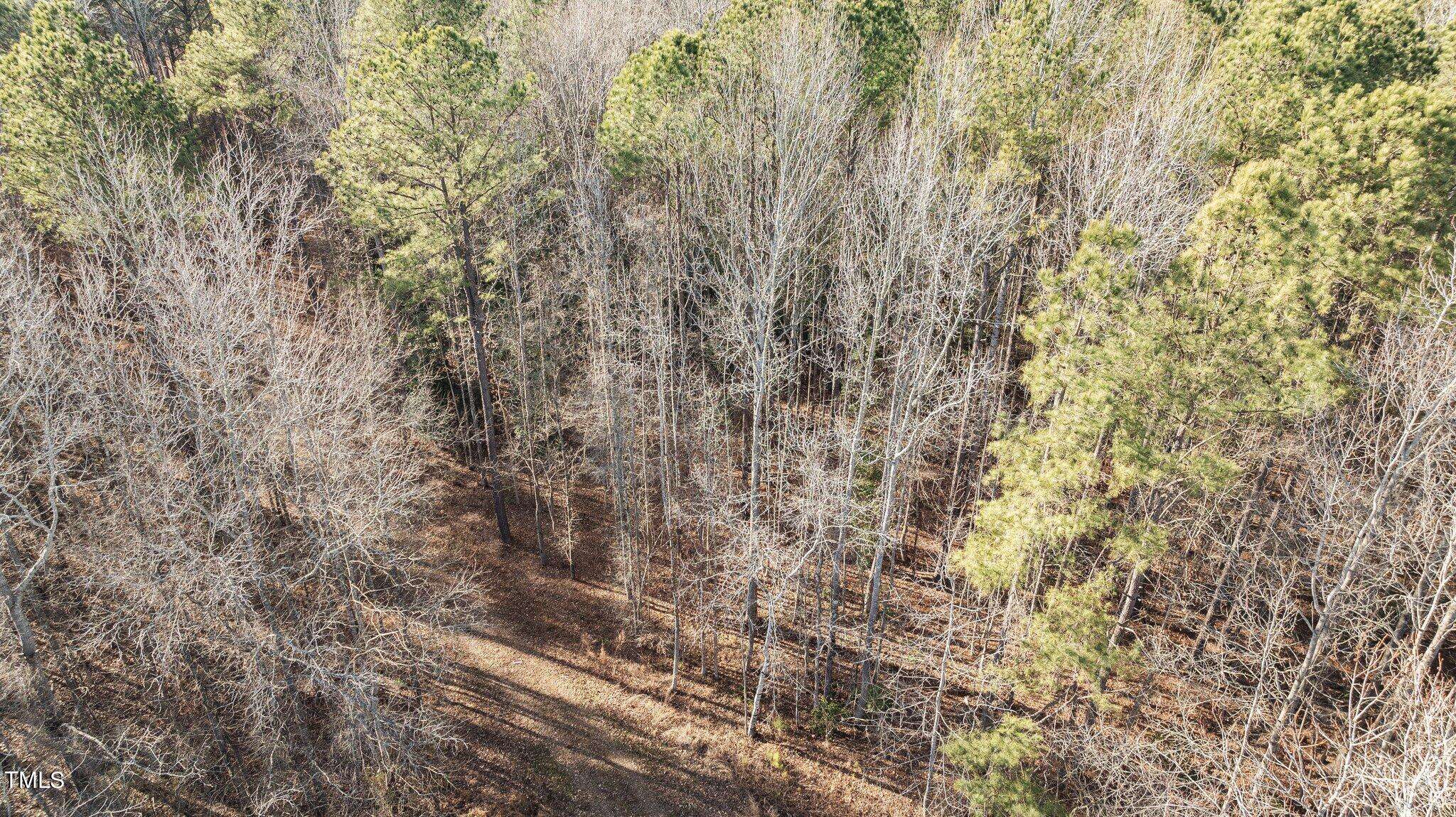 Louisburg, NC 27549,43.76 Acre Huntsburg Drive
