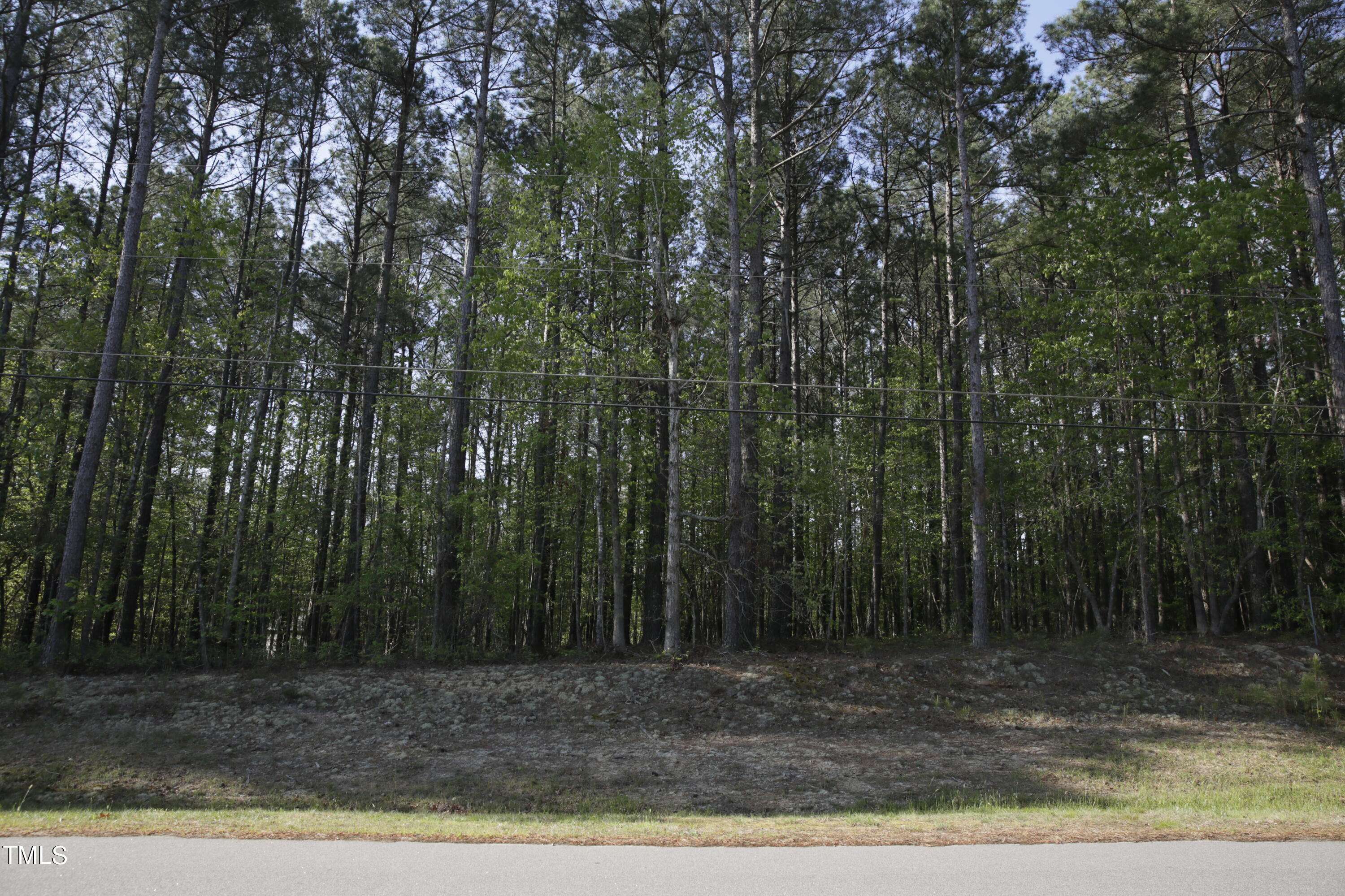 Wendell, NC 27591,7284 Shawan Road