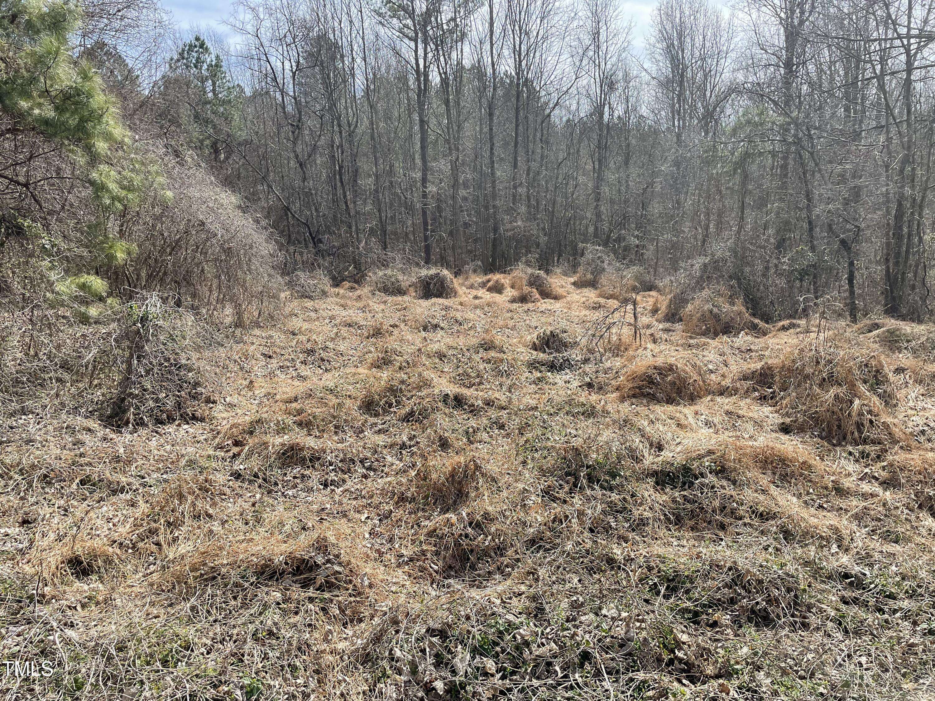 Louisburg, NC 27549,0 Us 401 Highway