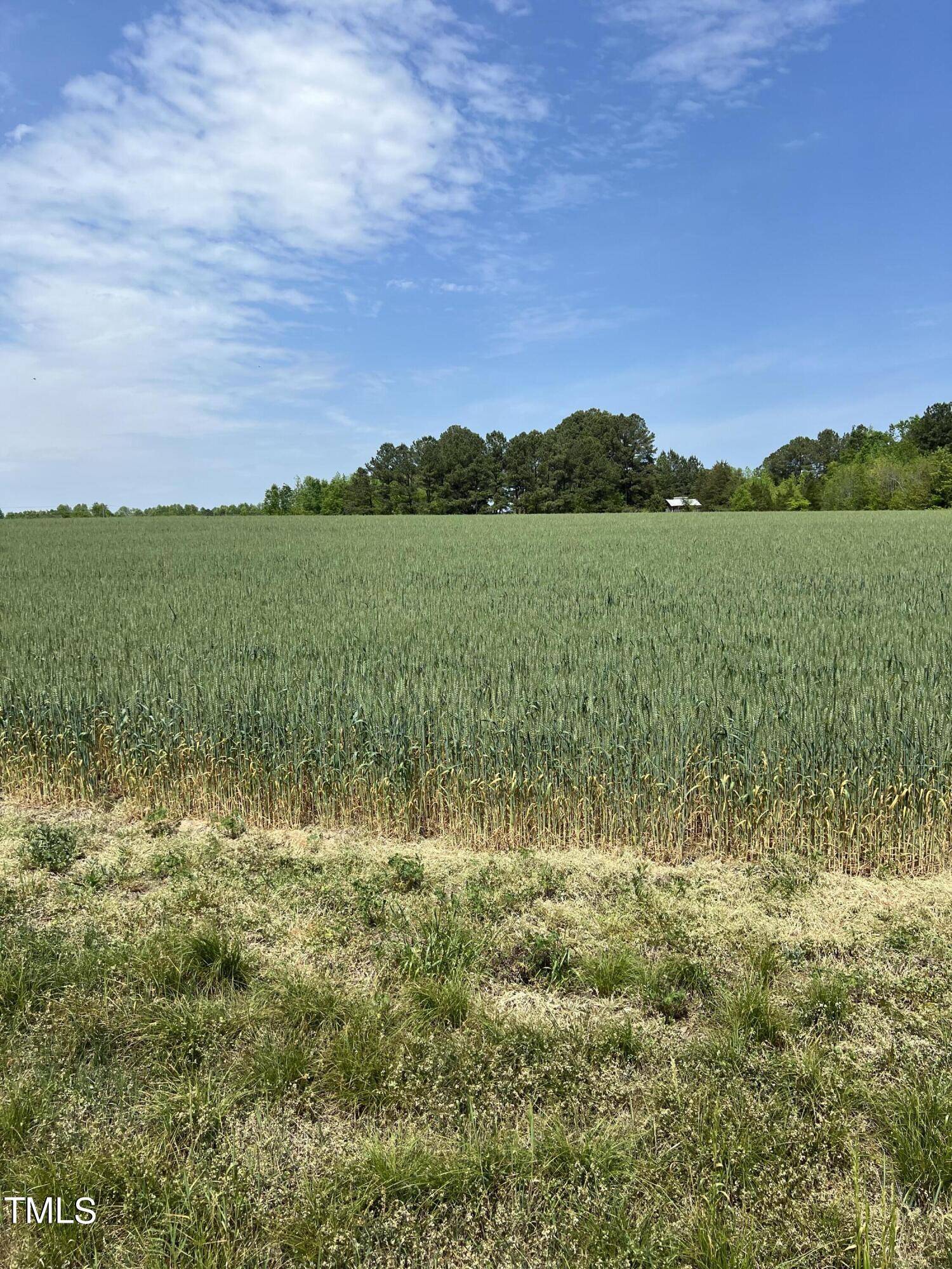 Zebulon, NC 27597,32.140 Ac Old Us 64 Highway