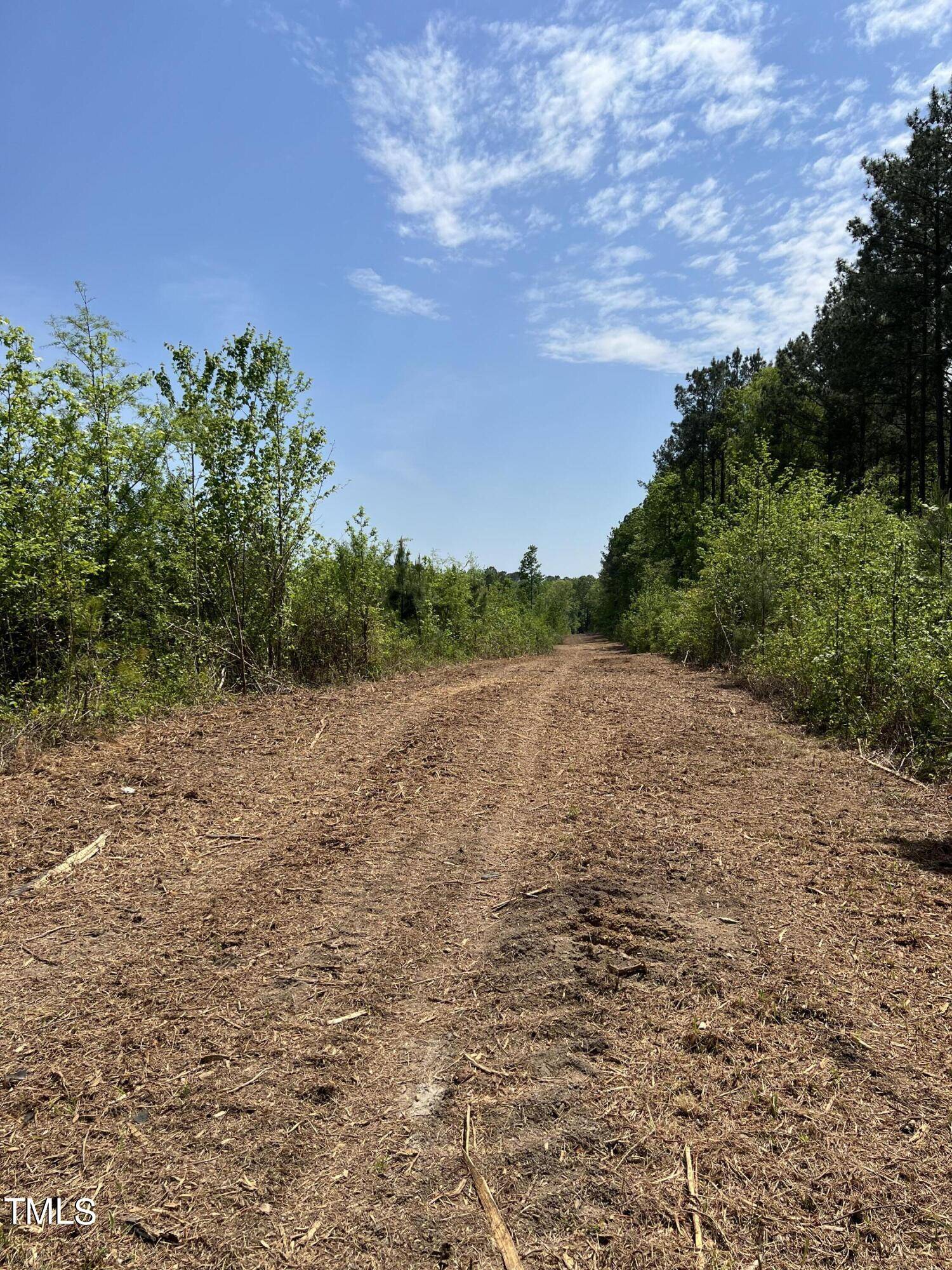 Zebulon, NC 27597,32.140 Ac Old Us 64 Highway