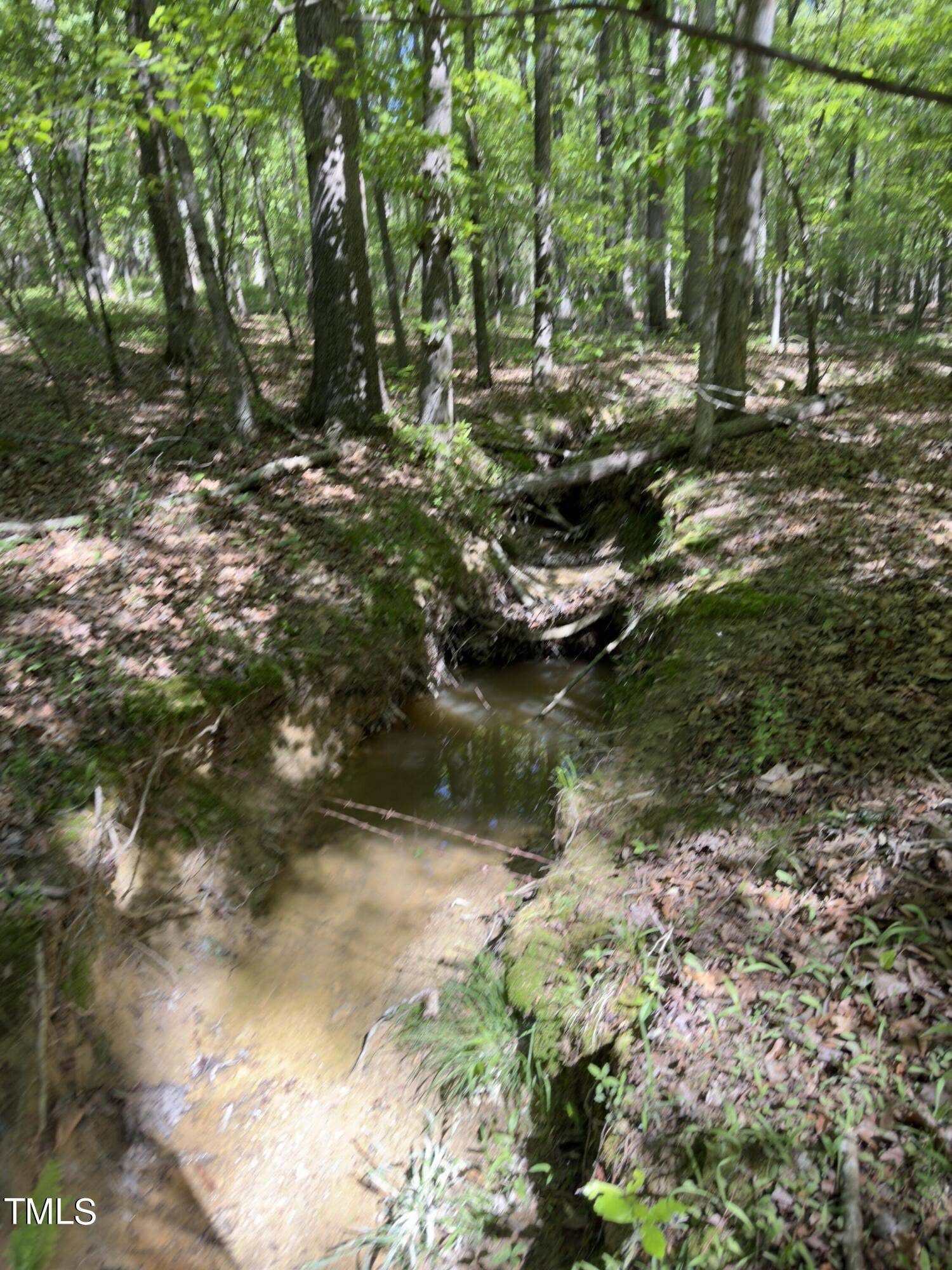 Bear Creek, NC 27207,Lot 10 Maple Springs Lane