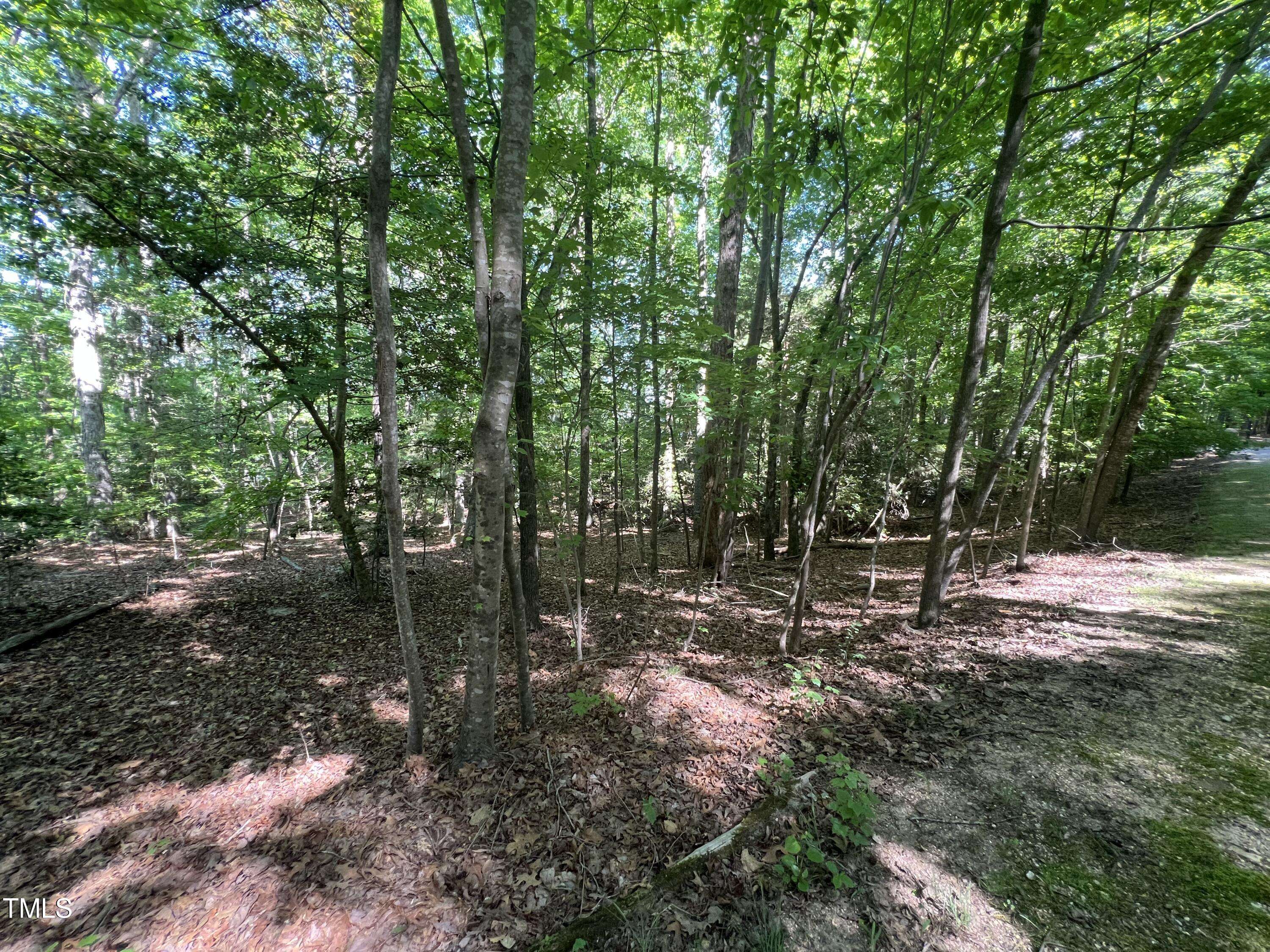 Carthage, NC 28327,Lot 61 Palomino Road