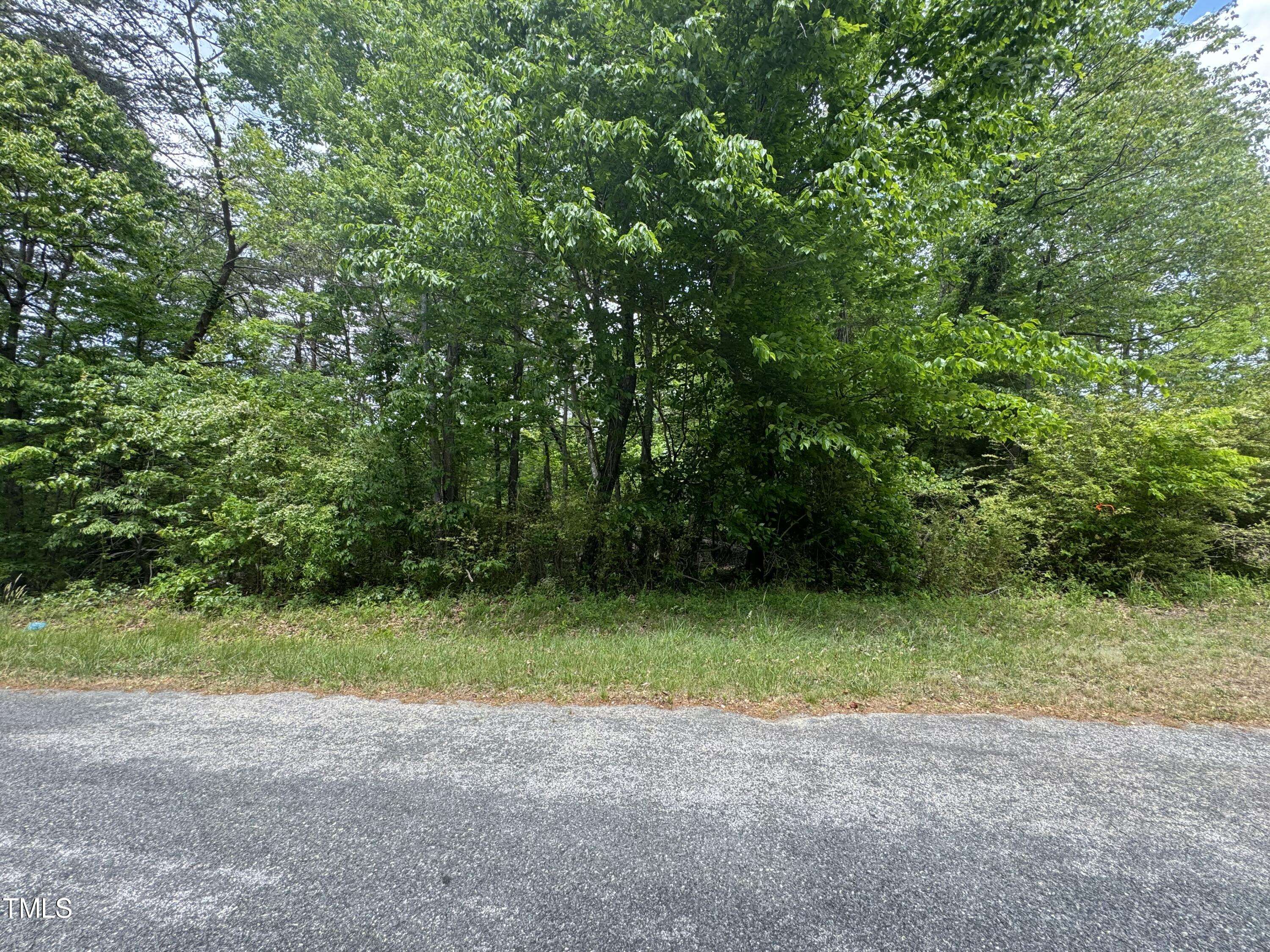 Wentworth, NC 27320,00000 Dillard Road