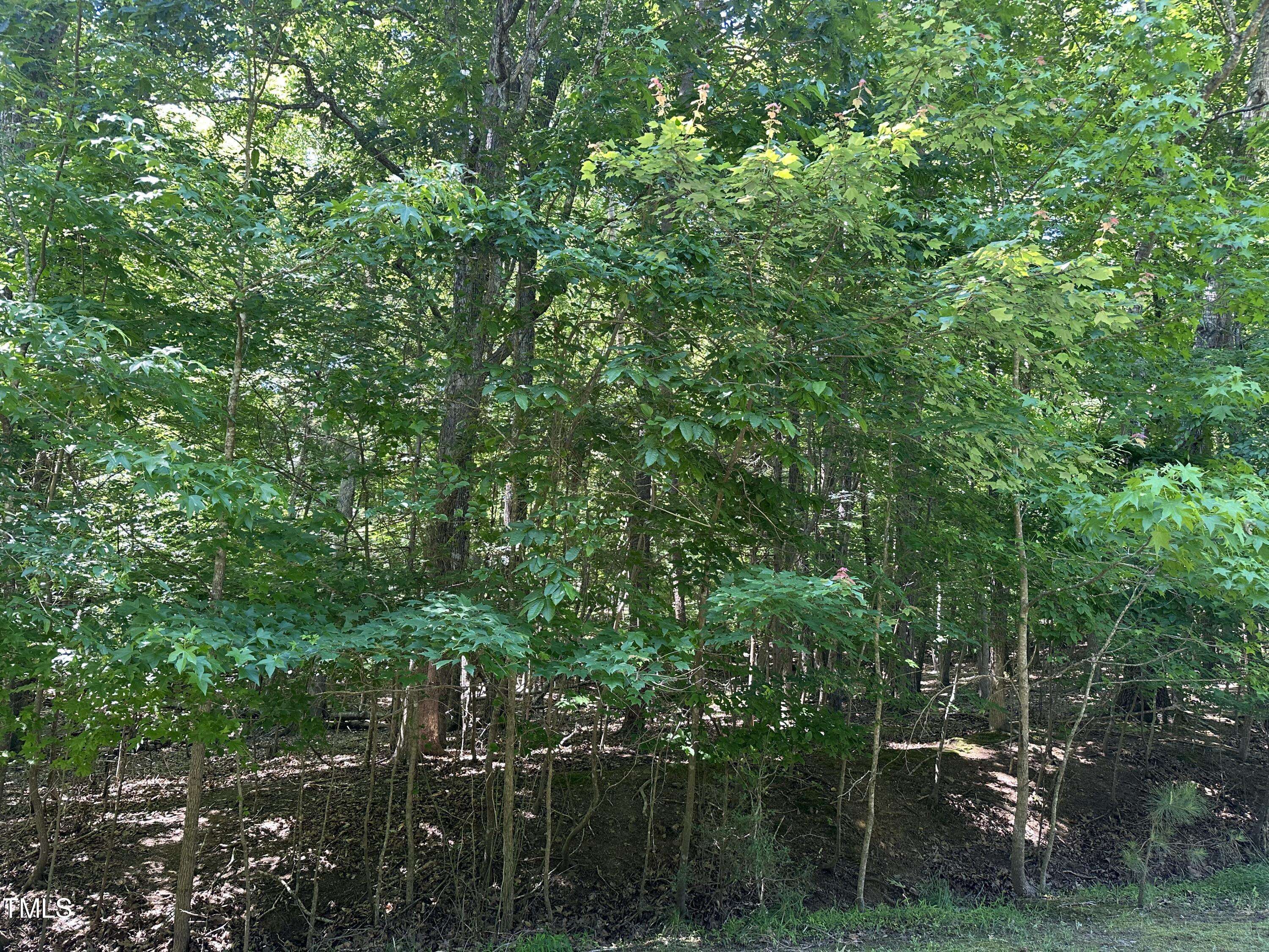 Hillsborough, NC 27278,Lot 25 Willow Ridge Dr