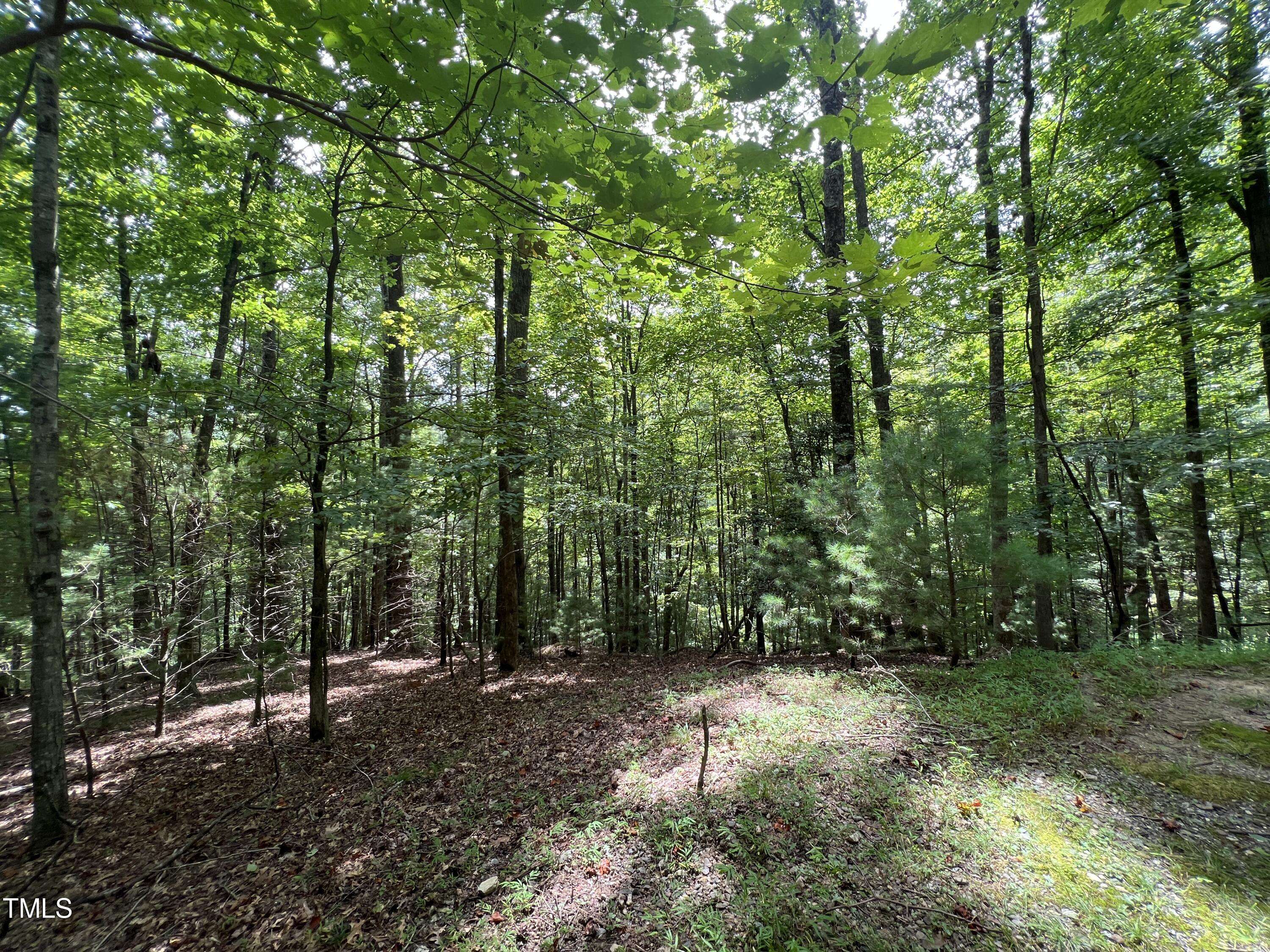 Deep Gap, NC 28618,Tbd Bear Paw Road