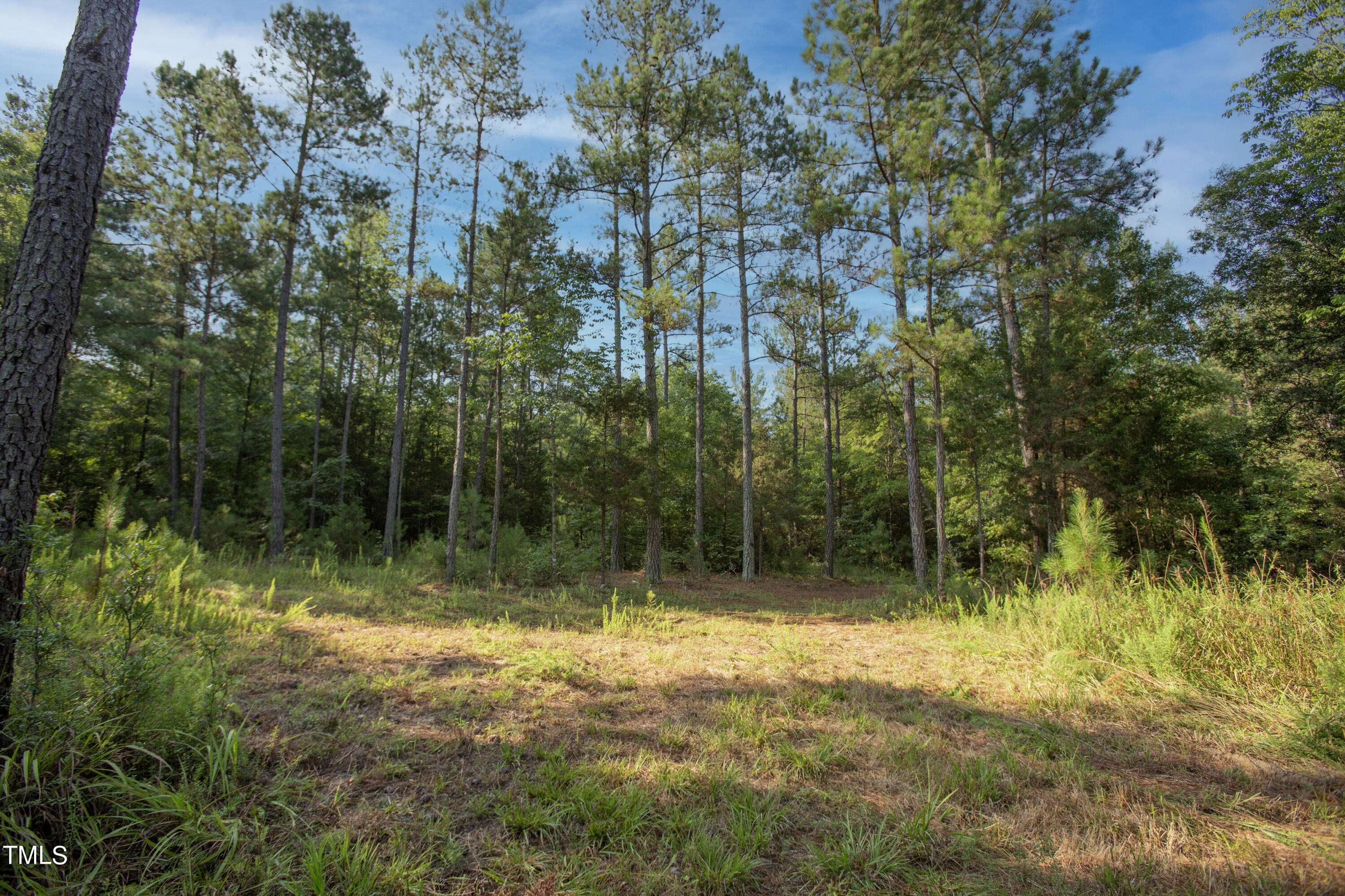 Pittsboro, NC 27312,0 Lamont Norwood Road