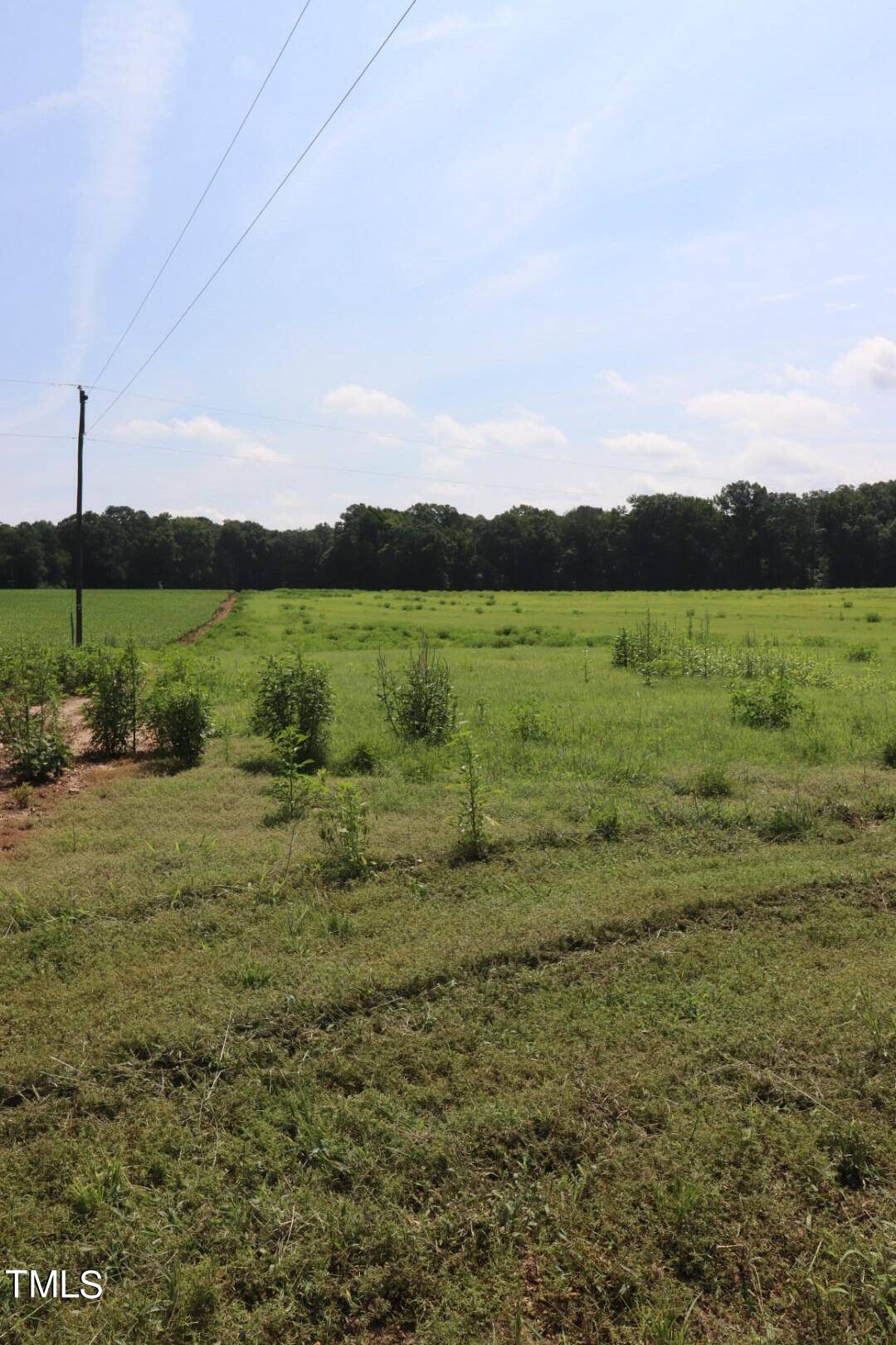 Middlesex, NC 27557,Lot 2 Claude Lewis Road