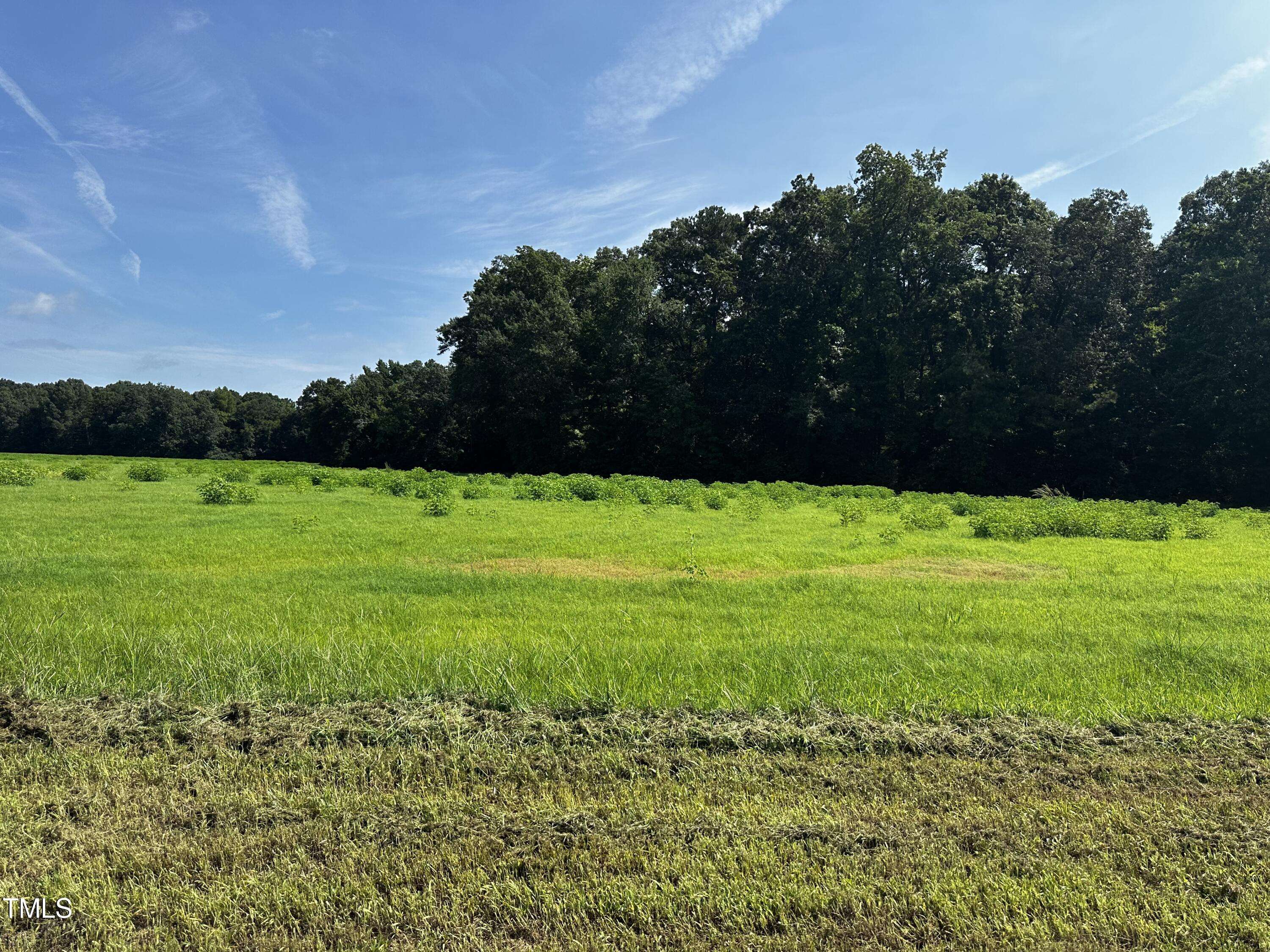 Middlesex, NC 27557,Lot 5 Claude Lewis Road