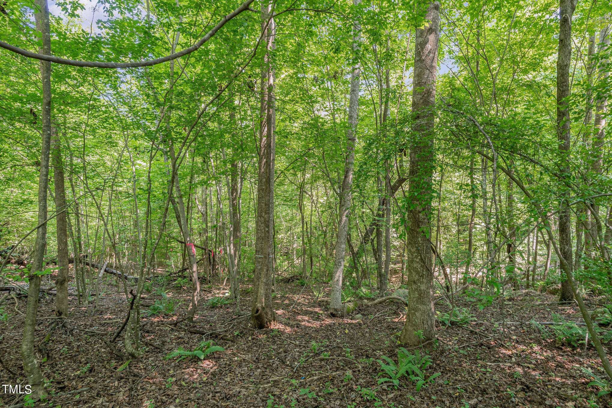 Pittsboro, NC 27312,222 Kenwood Lane