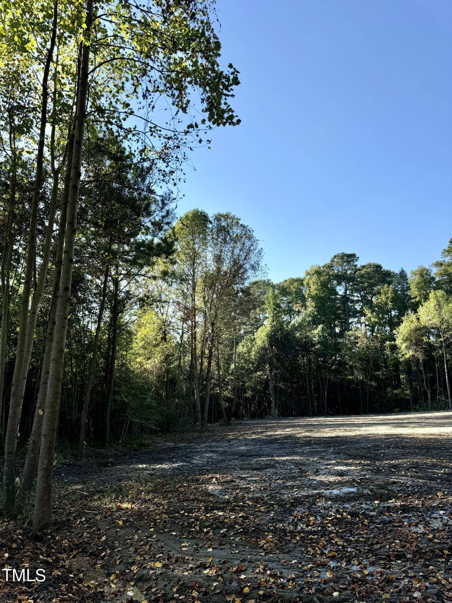 Four Oaks, NC 27524,Lot 1 U.S. Hwy 301