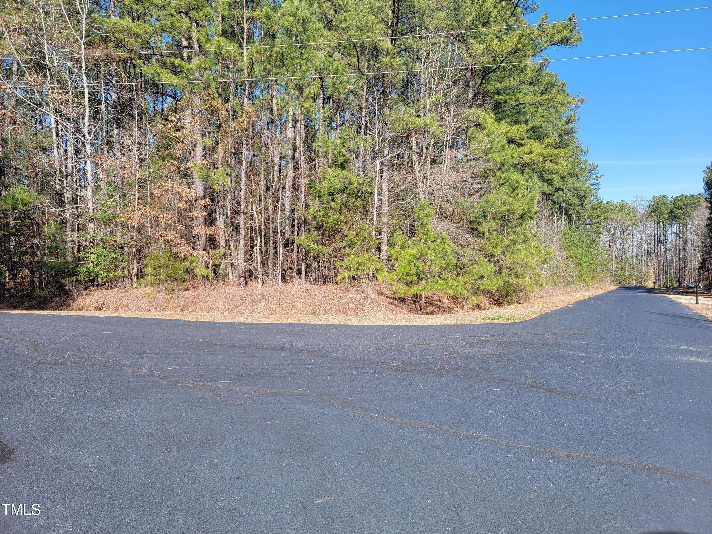 Macon, NC 27551,Lot 54 N. Daniel Court