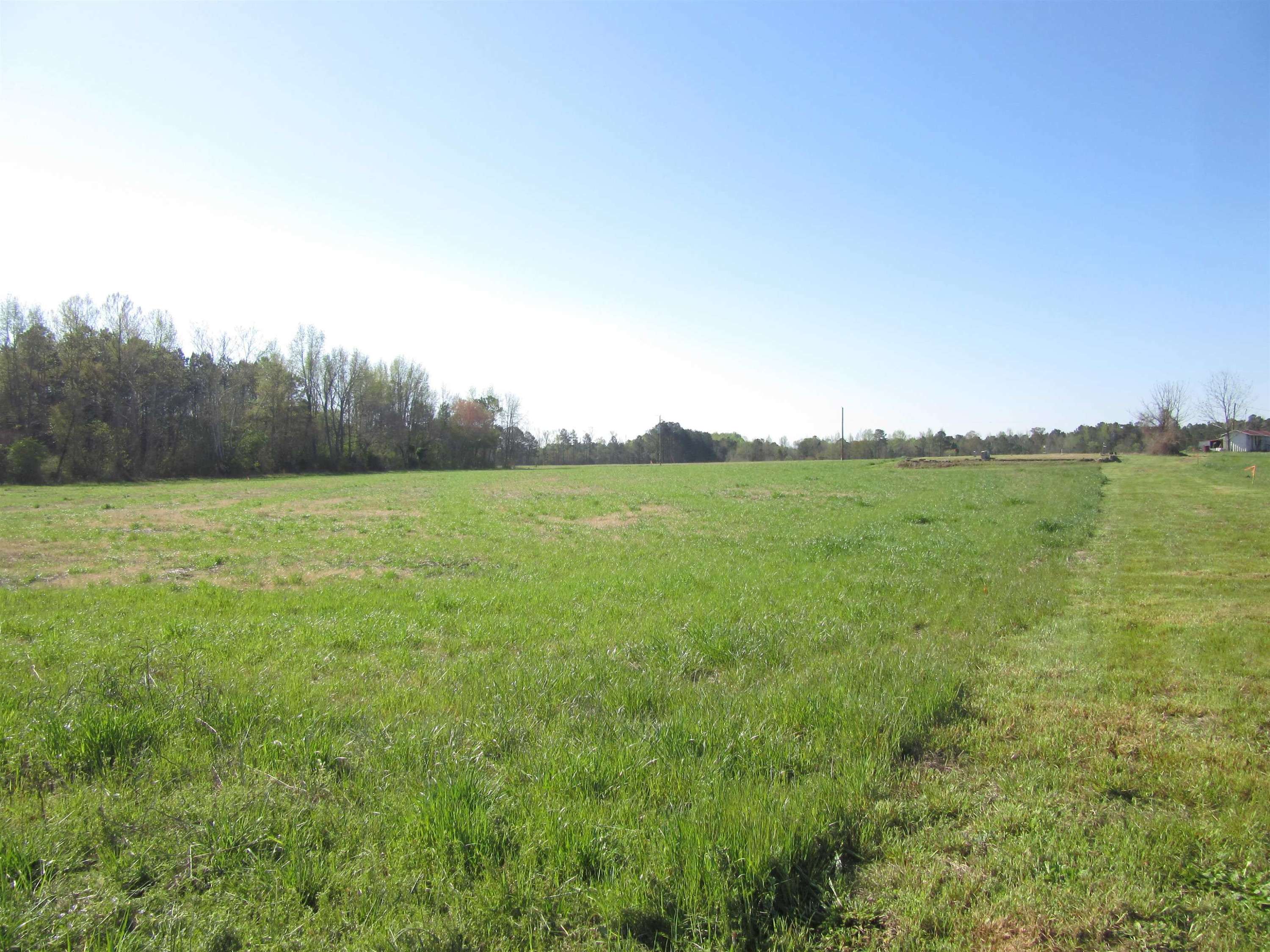 Kenly, NC 27542,Lot 5 Nc 42 Highway