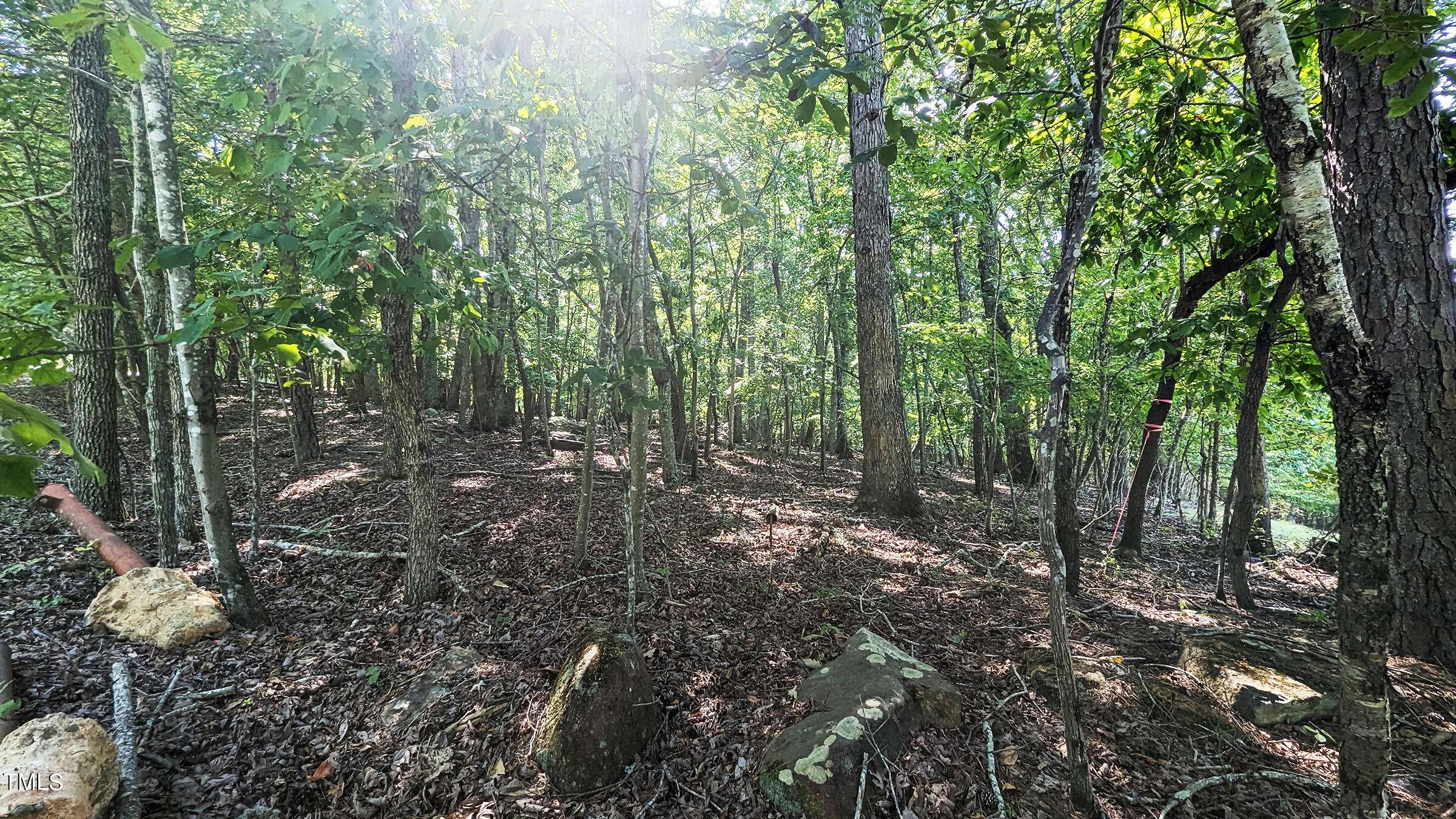 Rougemont, NC 27572,Tbd Fire Tower Drive