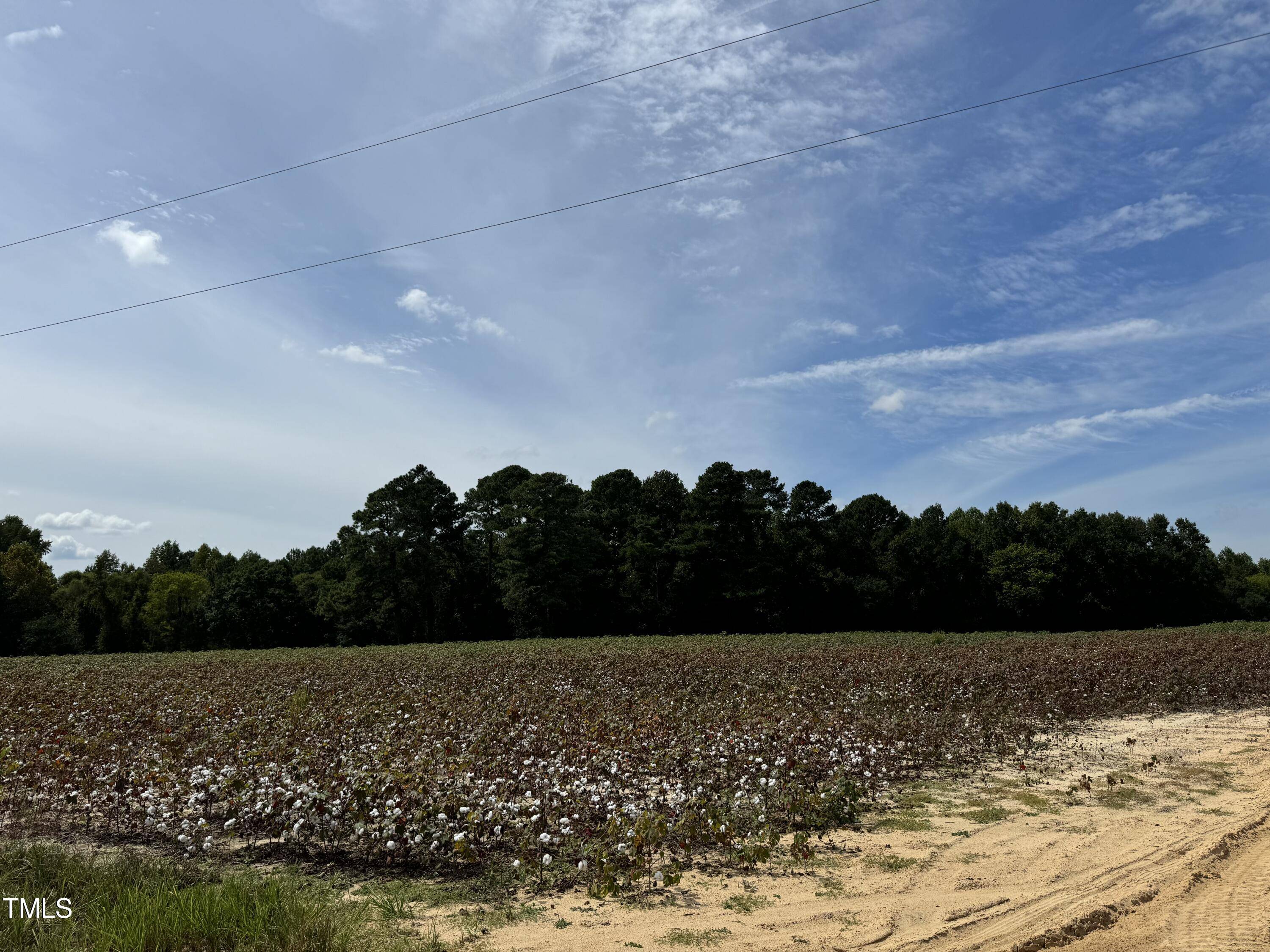 Lillington, NC 27546,5 Acres Mitchell Road