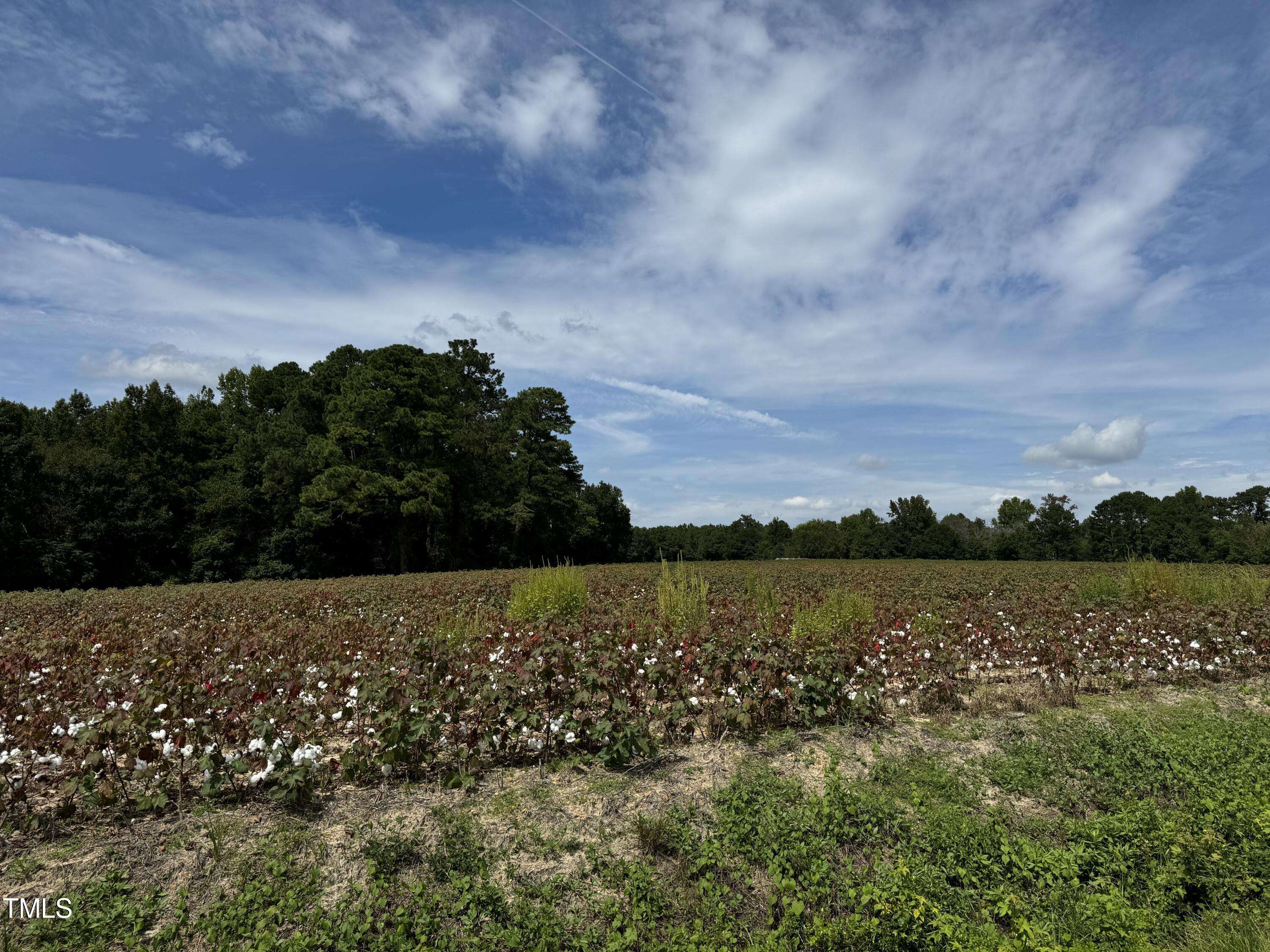 Lillington, NC 27546,5 Acres Mitchell Road