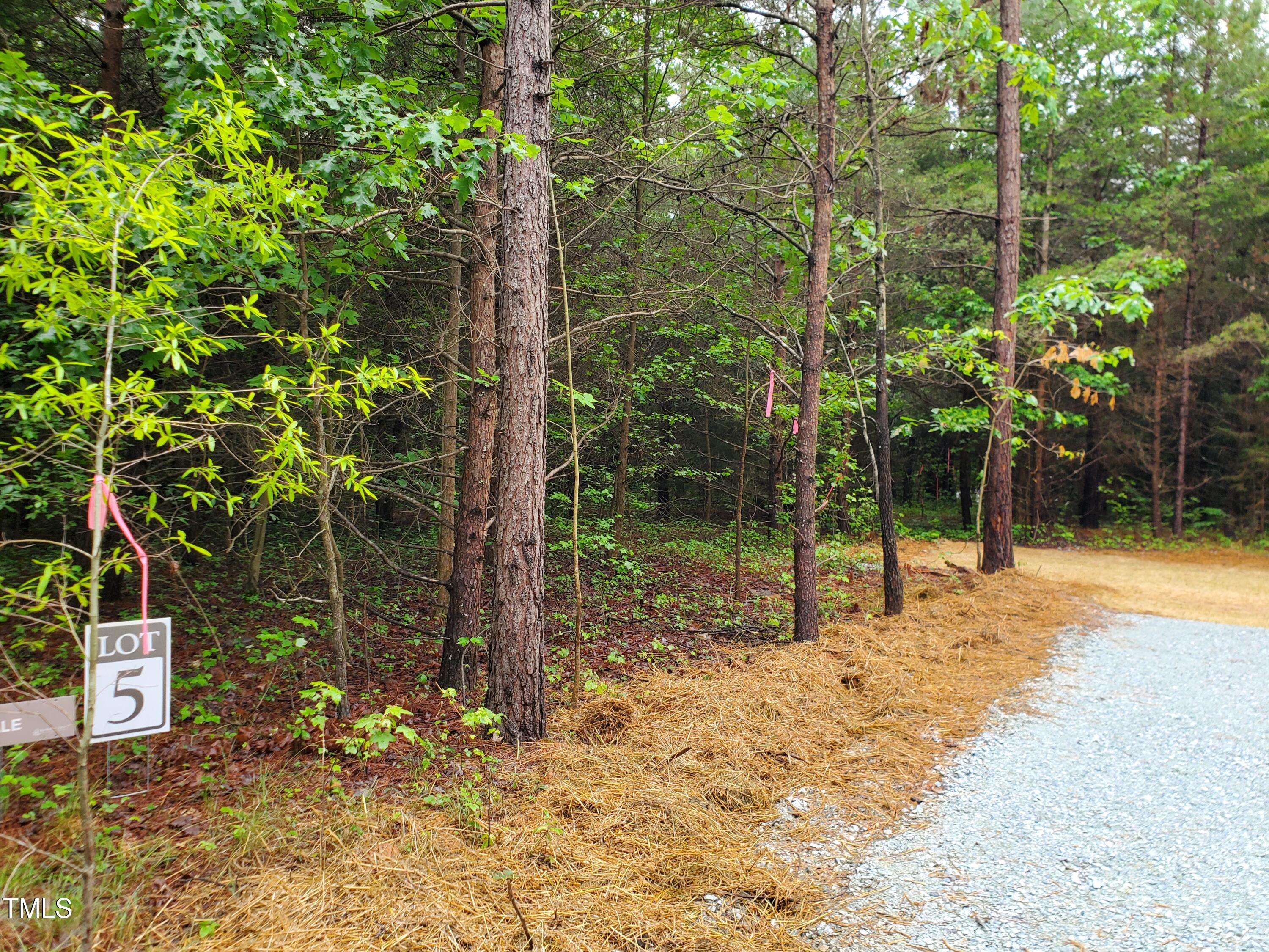 Mebane, NC 27302,Lot 5 Molita Lane