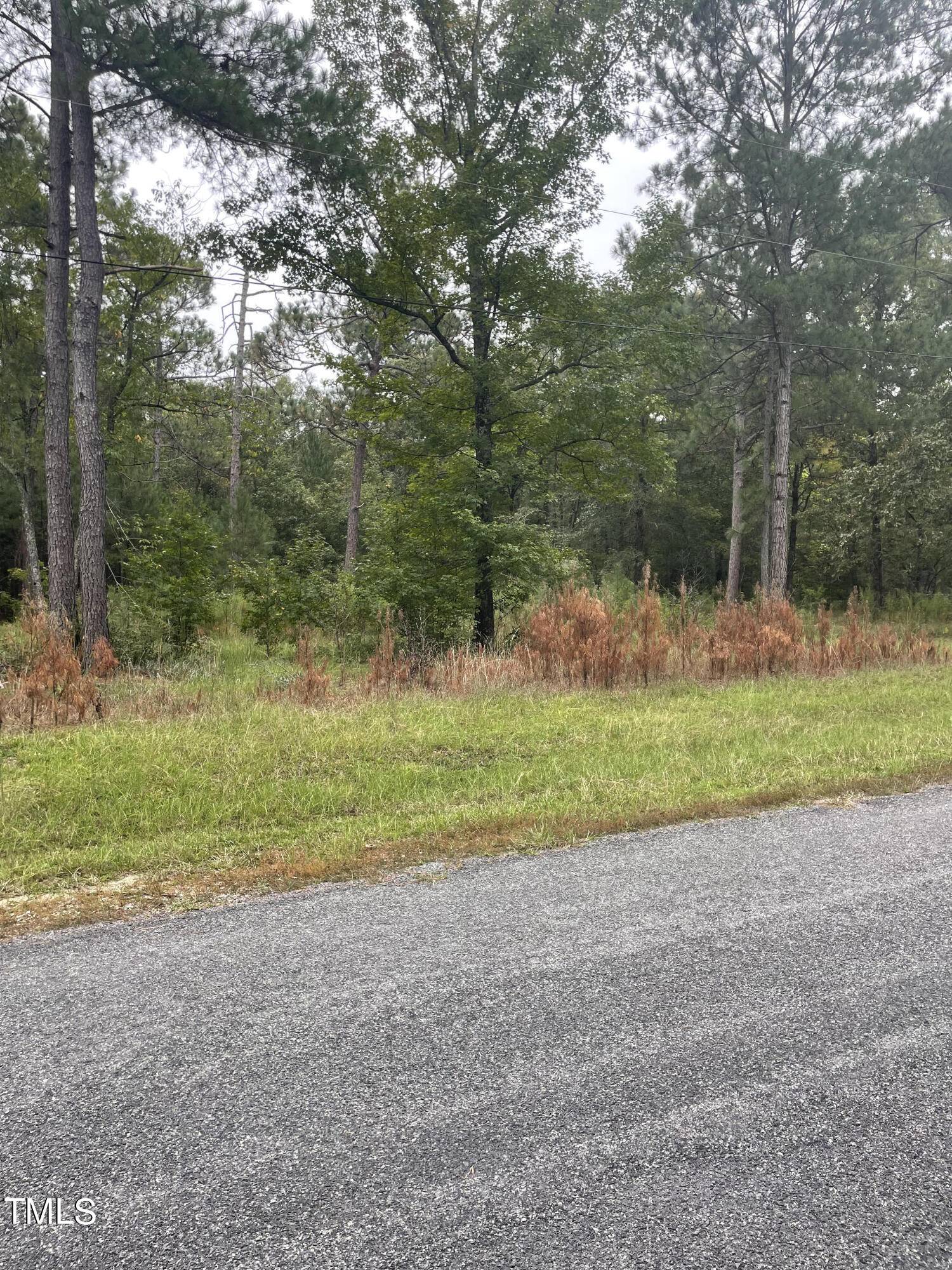 Vass, NC 28394,Lot 31 Creek Bend Drive