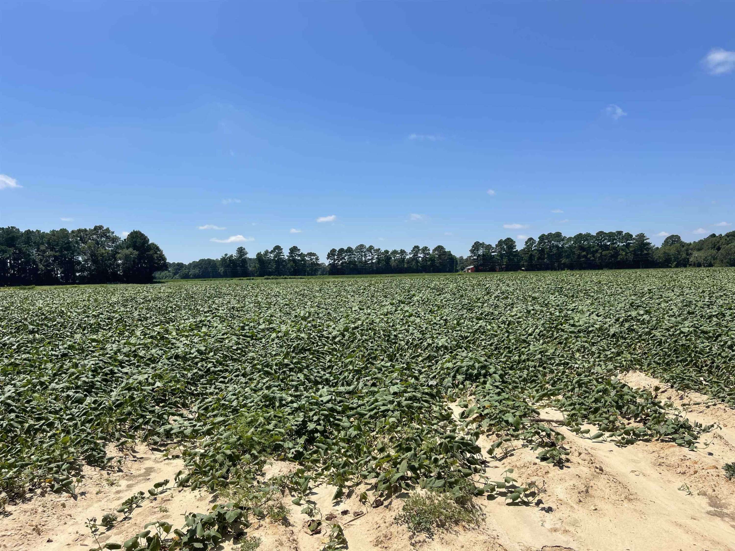 Dunn, NC 28334,Lot 2 Brock Road