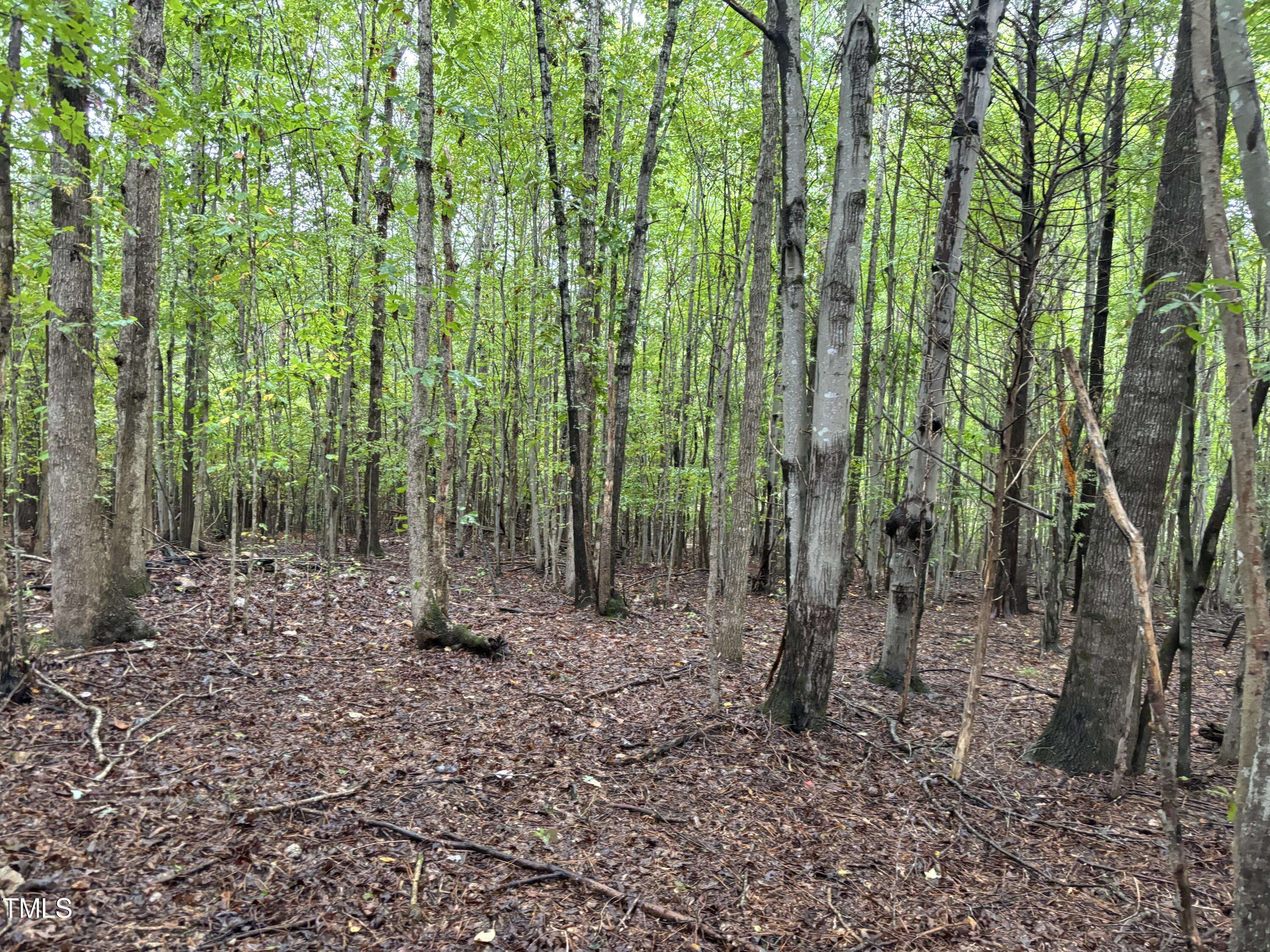 Bullock, NC 27507,00 Tungsten Mine Road