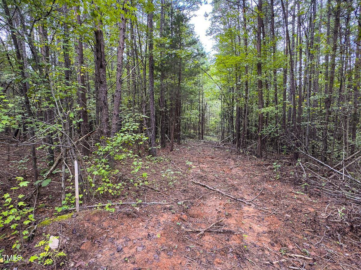 Providence, NC 27315,Lot-7, 00 Wilson Road