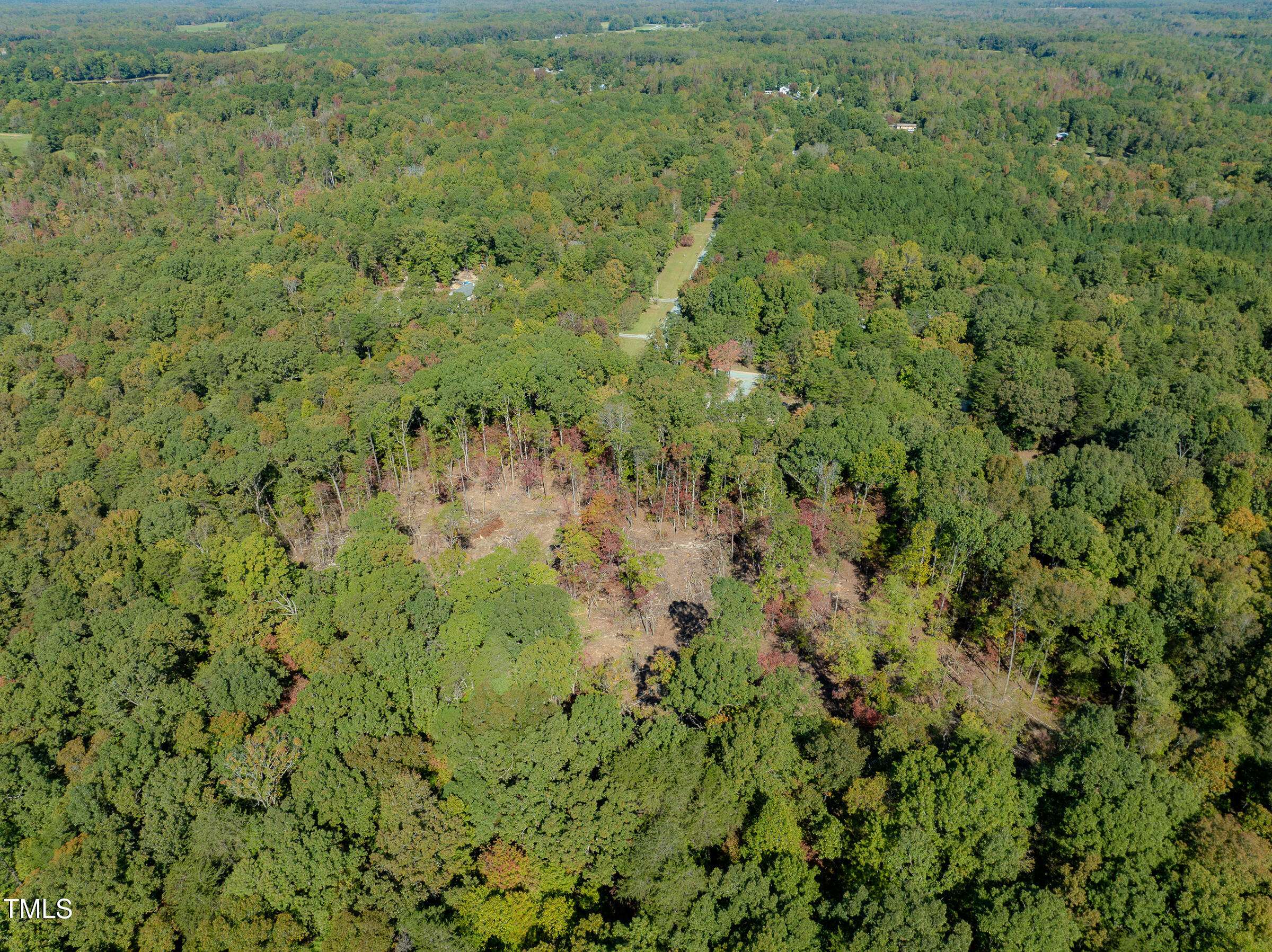 Efland, NC 27243,0000 Olivia Pope Way