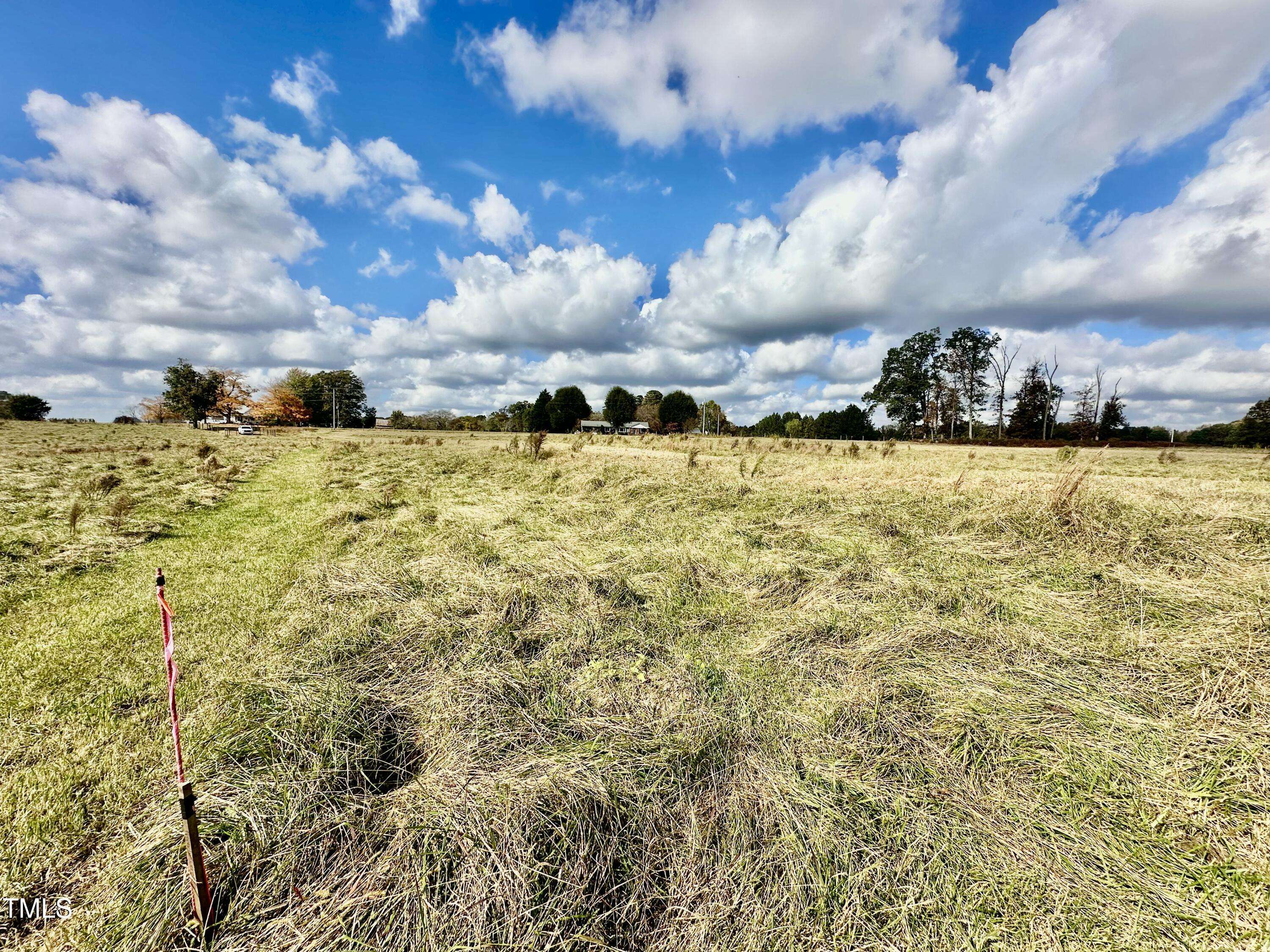 Hurdle Mills, NC 27541,+/-3.23 Ac Jones Road