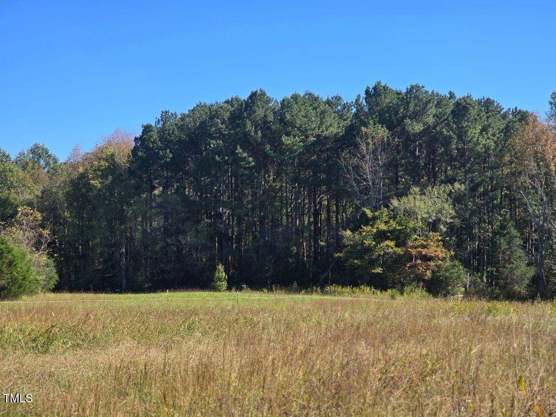 Hillsborough, NC 27278,51.3ac Hwy 86