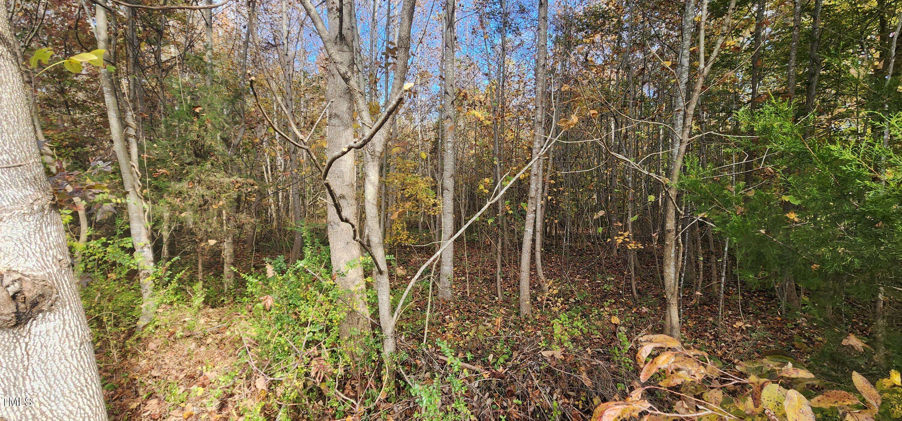 Efland, NC 27243,Lot 1 High Rock Road