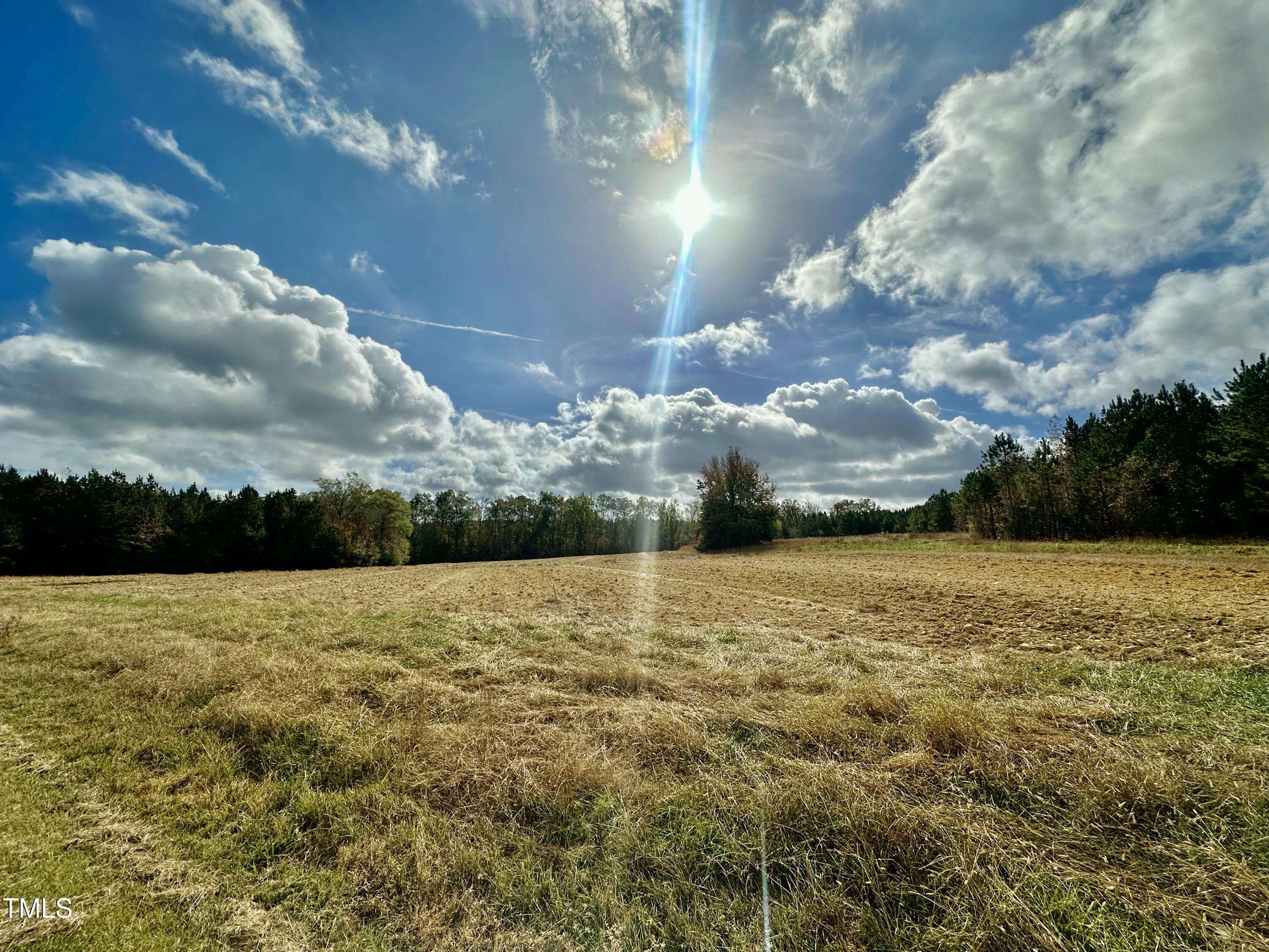 Rougemont, NC 27572,Lot 2 Walter Humphries Road