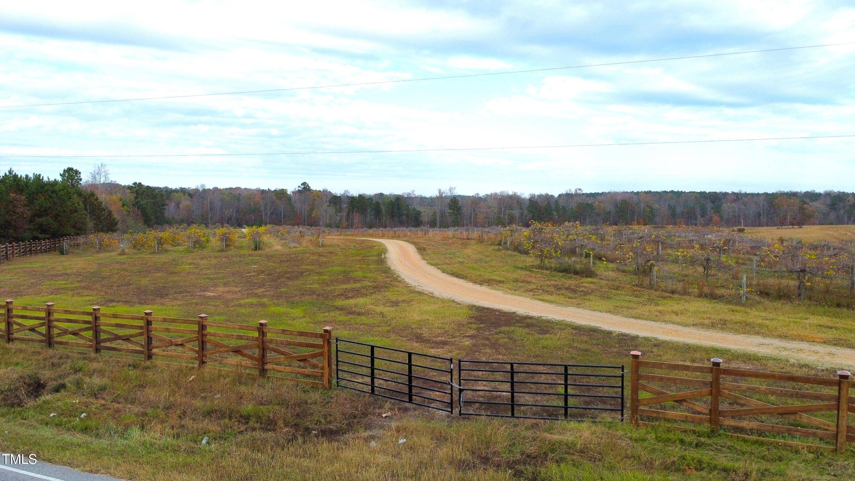 Louisburg, NC 27549,1 Duke Valentine Wynne Road