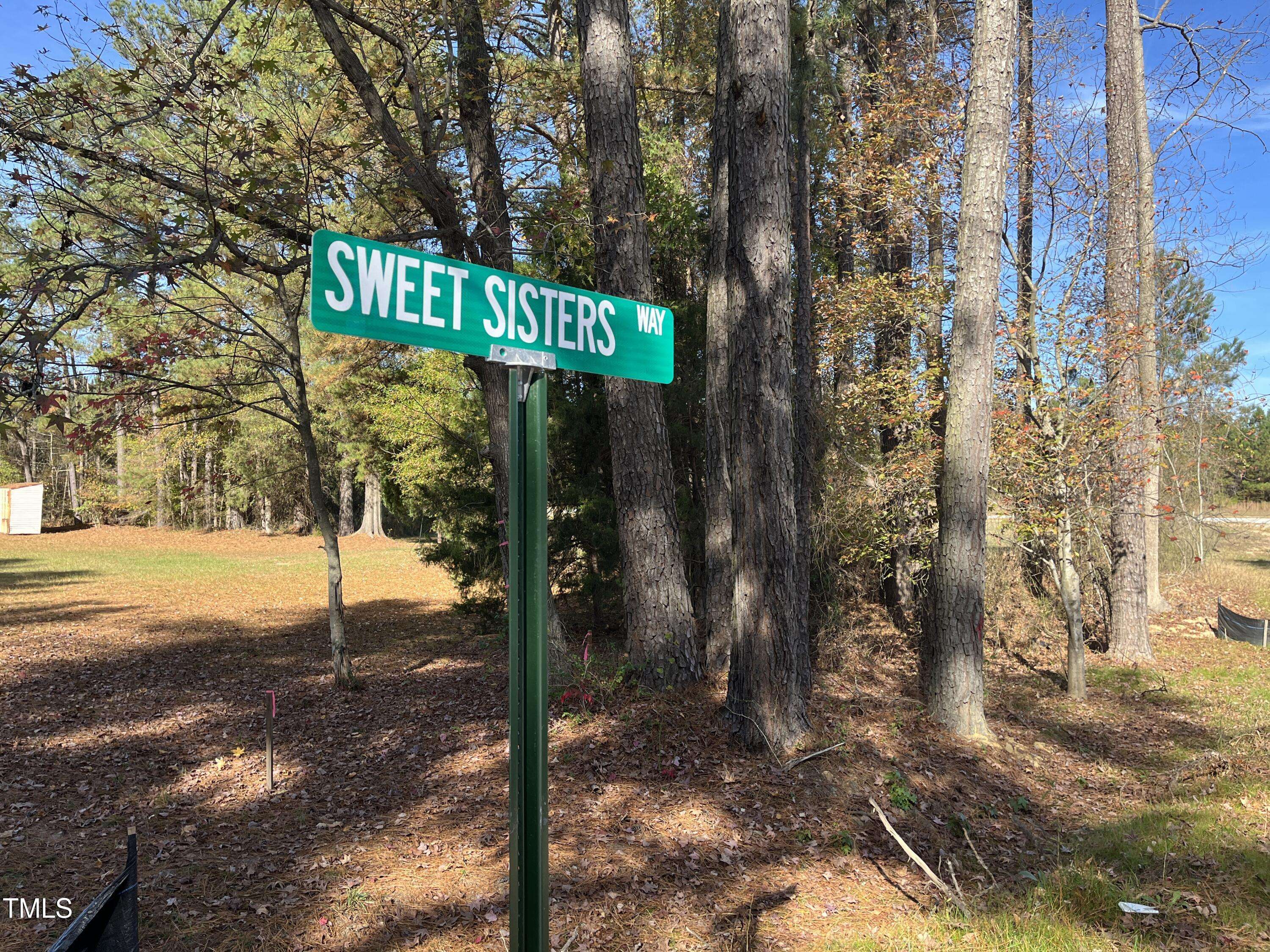 Youngsville, NC 27596,Lot 1 Sweet Sisters Way