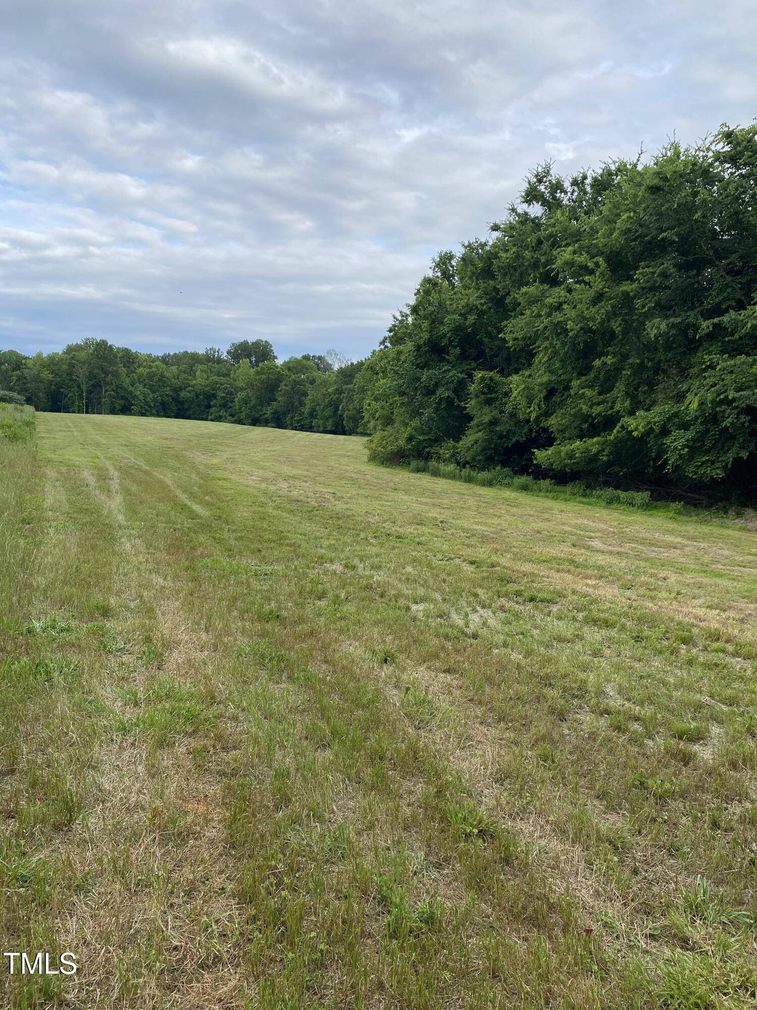 Hurdle Mills, NC 27541,5503 Nc-57  Lot 1