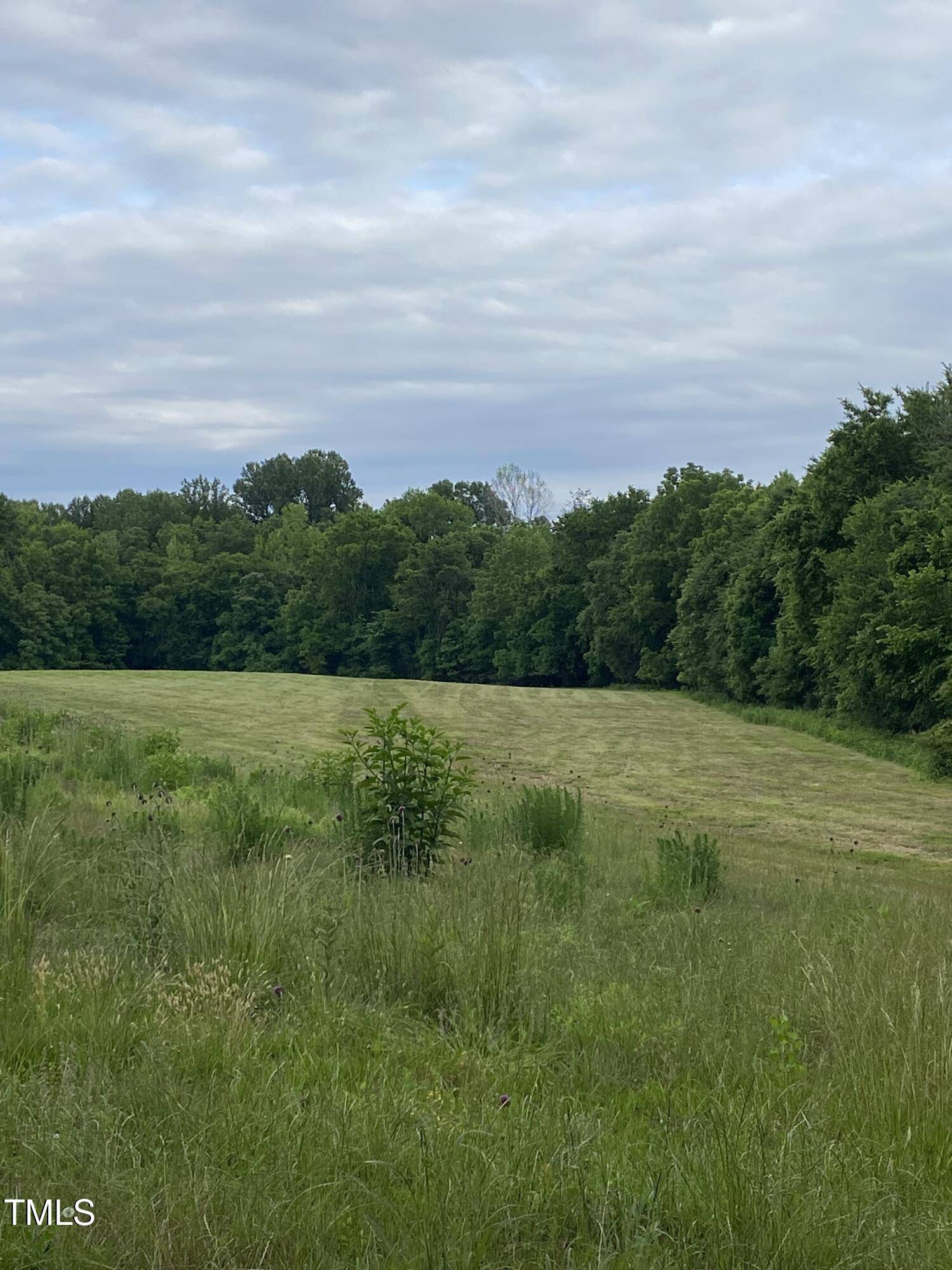 Hurdle Mills, NC 27541,5503 Nc-57  Lot 1