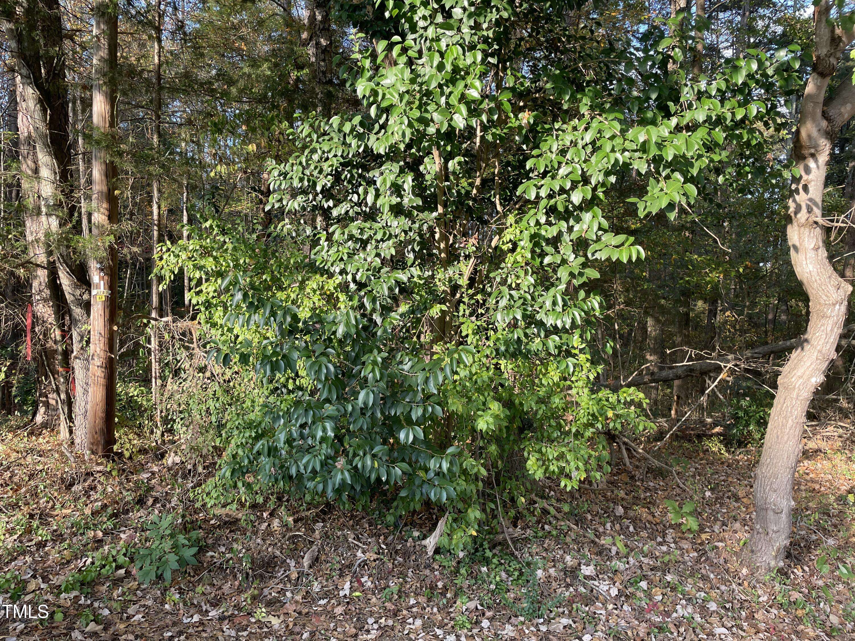 Siler City, NC 27344,Lot 10 Hilltop Drive