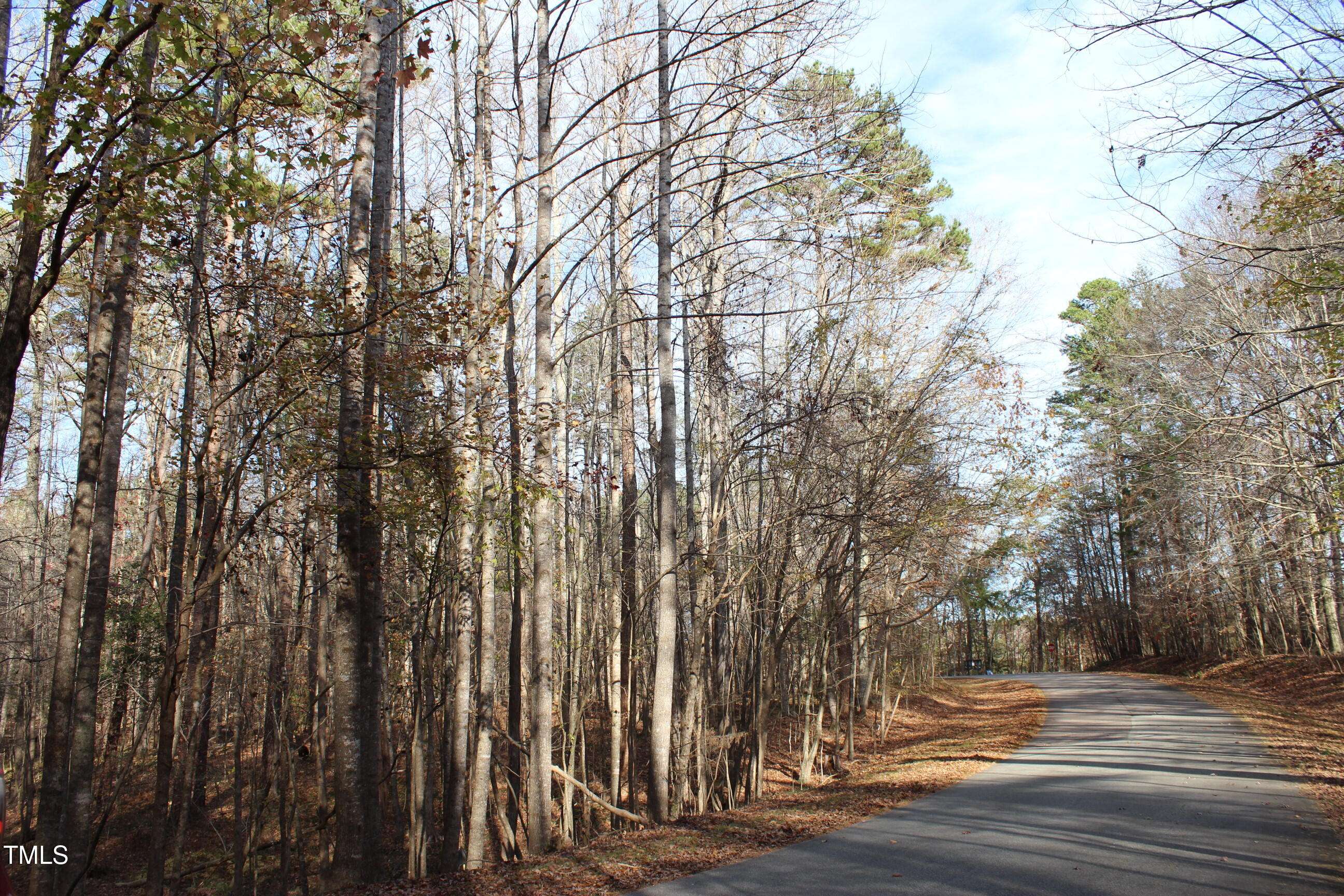 Hillsborough, NC 27278,Lot 17 Lake Orange Road