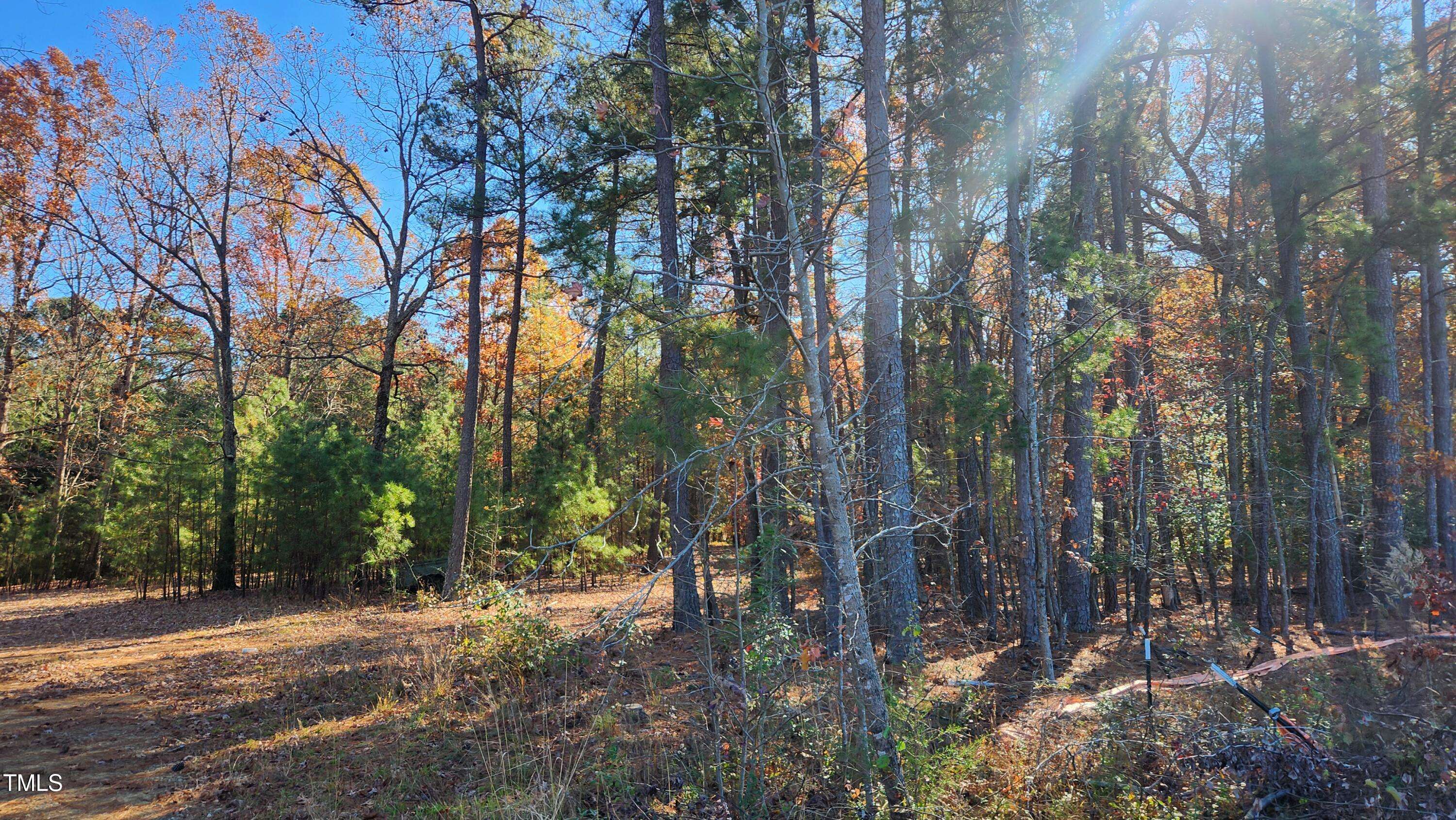 Apex, NC 27539,3909 Langston Circle