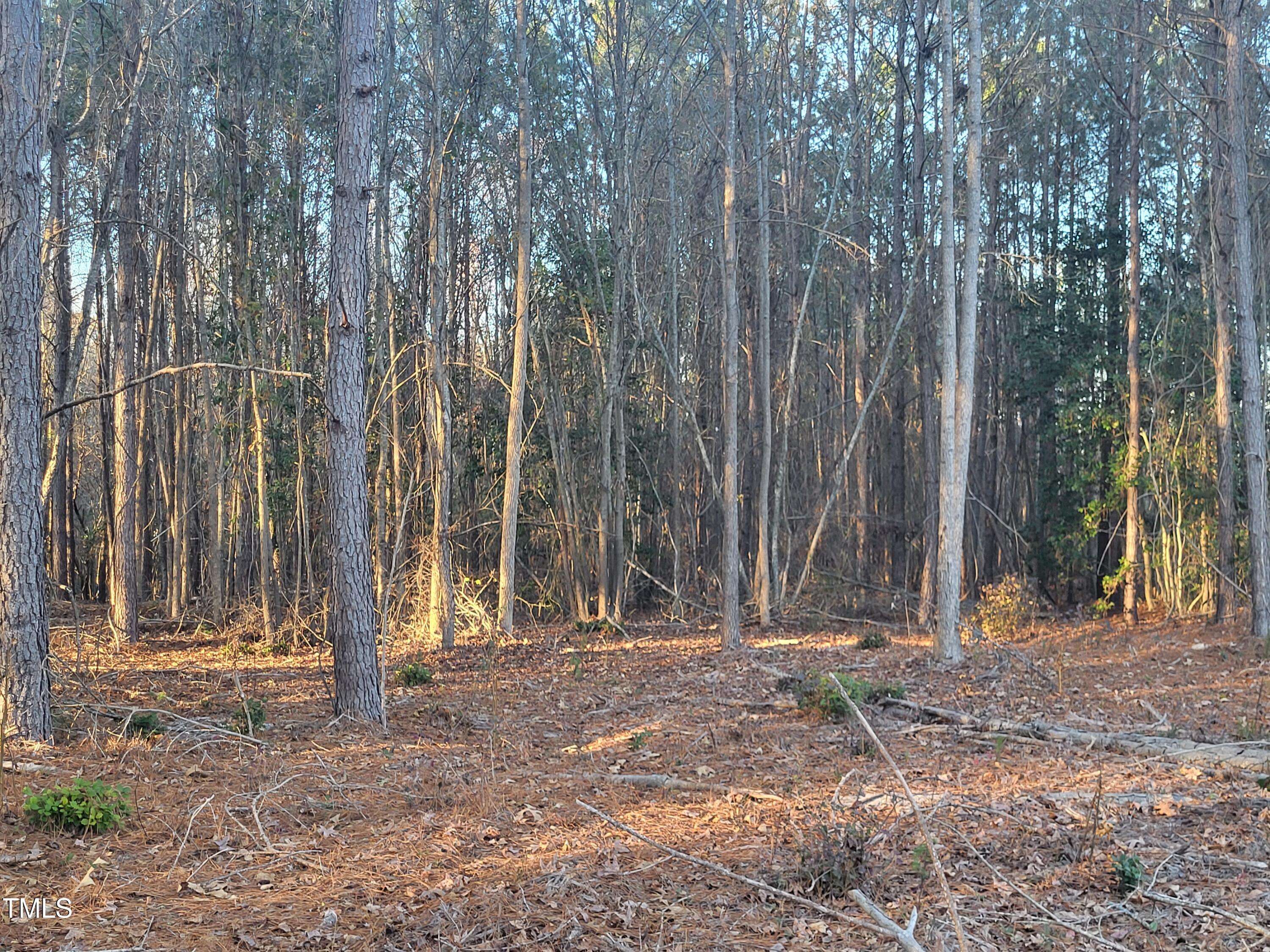 Lillington, NC 27546,Lot 6 & 7 Nc Hwy 27