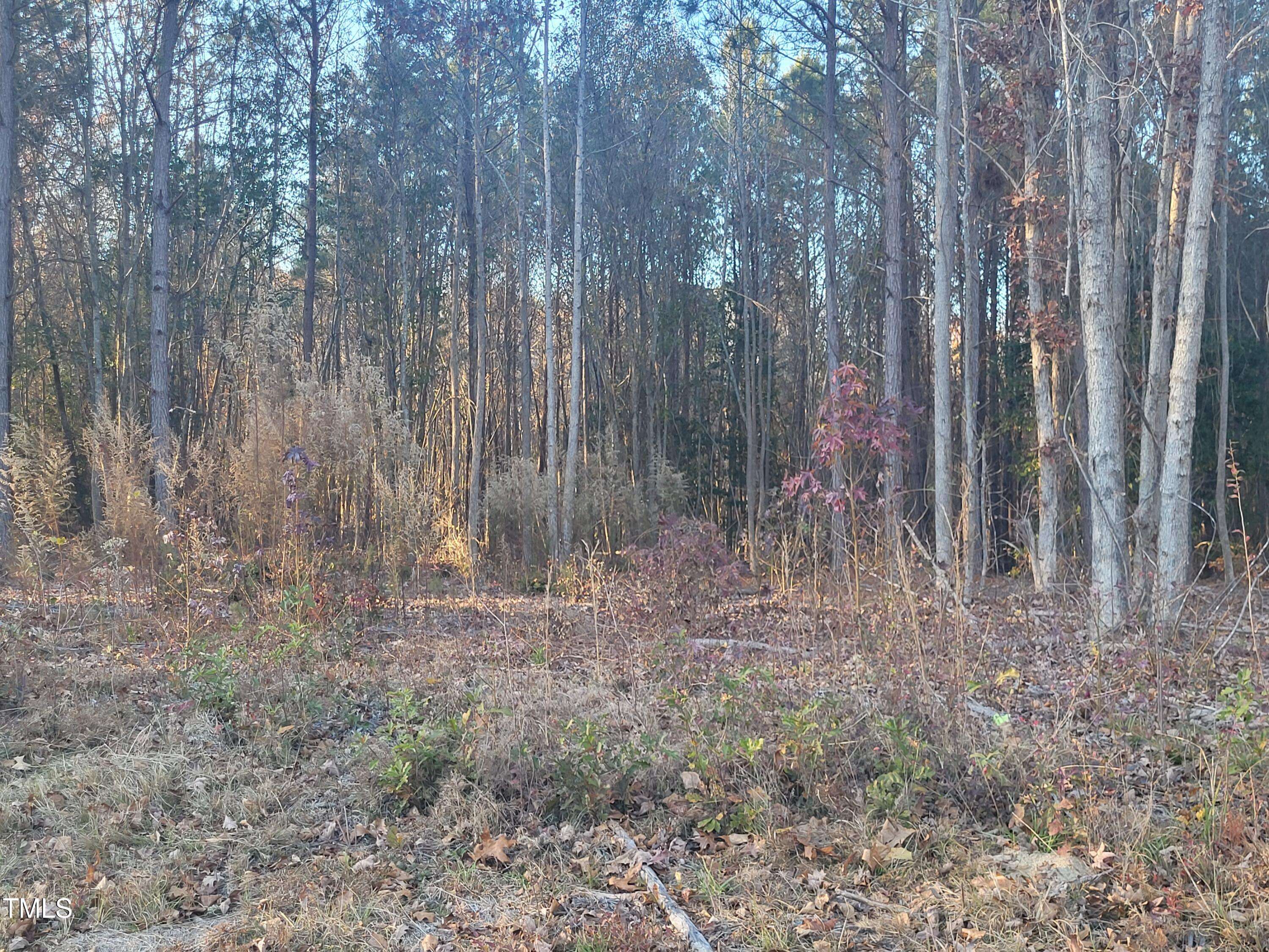 Lillington, NC 27546,Lot 6 & 7 Nc Hwy 27