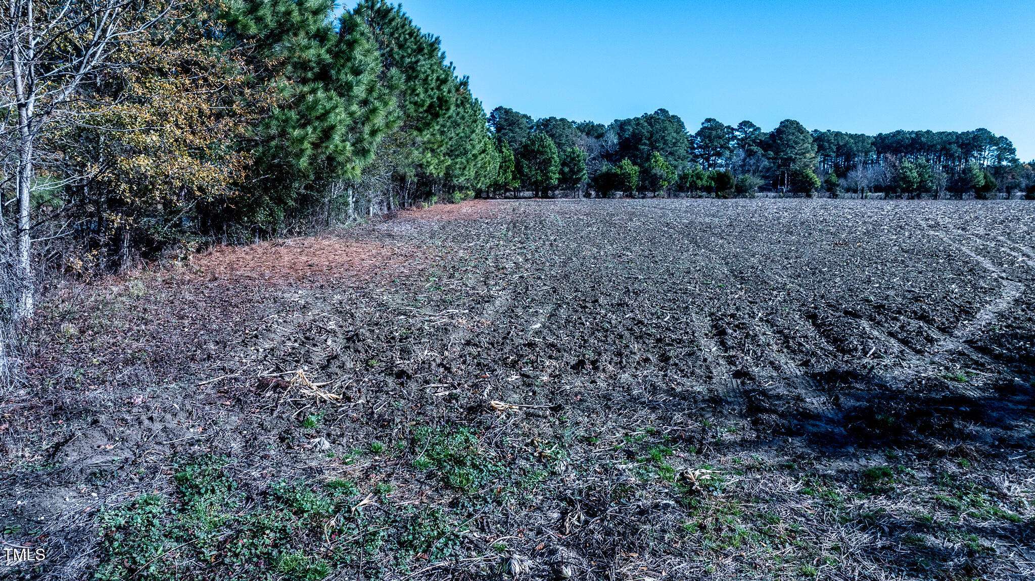 Autryville, NC 28318,Lot 4 Bullard Pit Circle